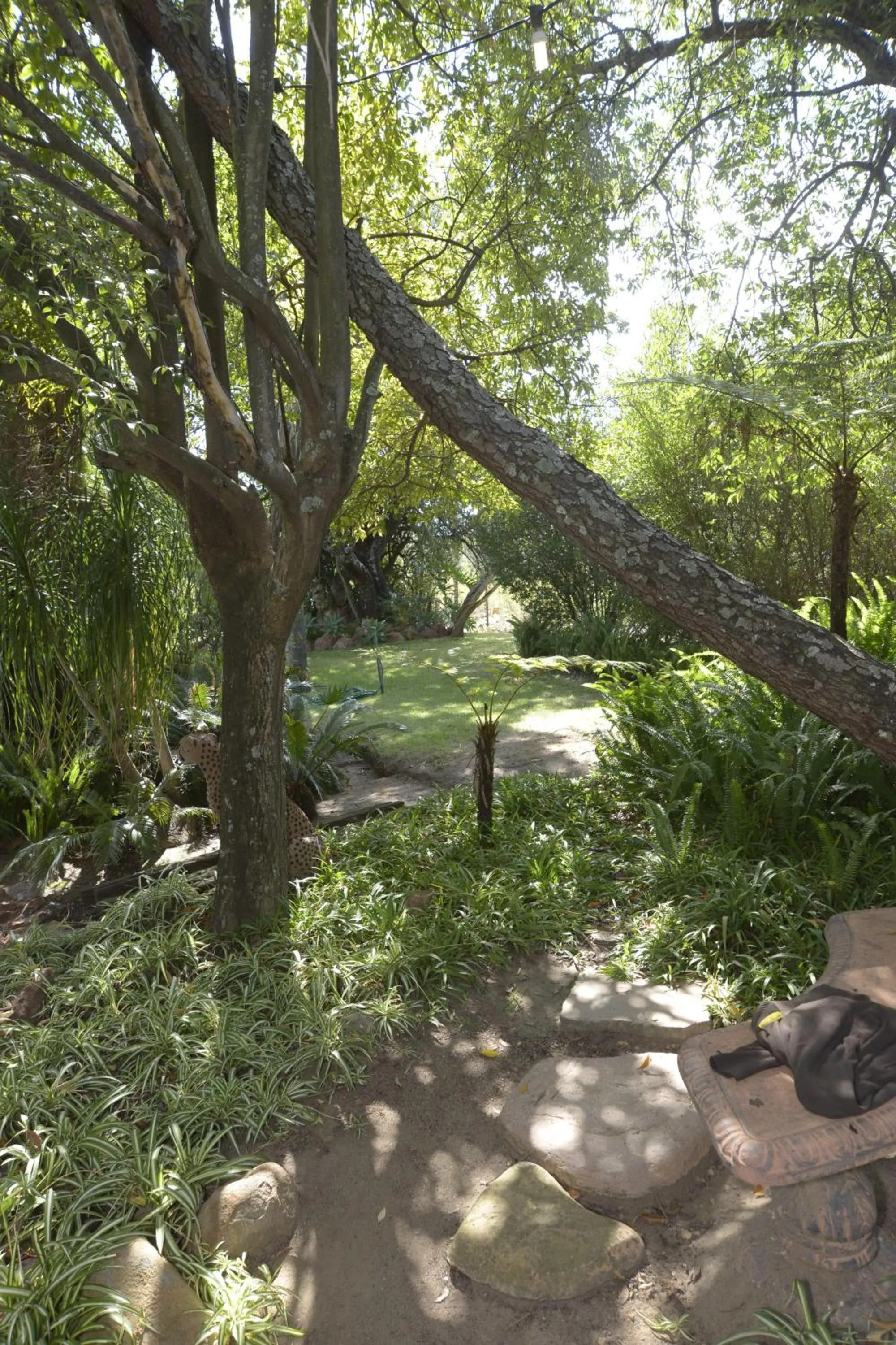 Spring in North Haven Country Estate