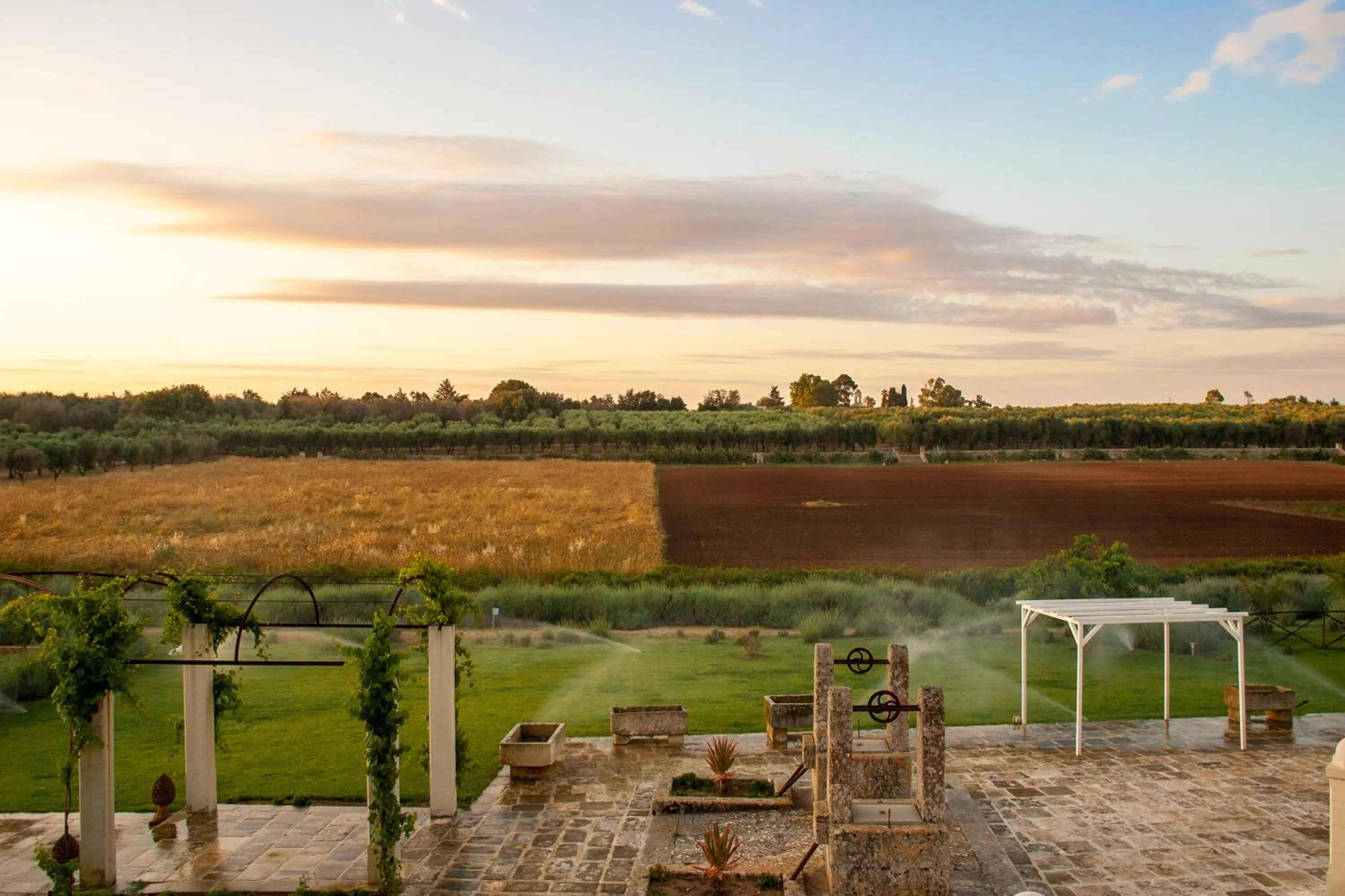 Natural landscape in Naturalis Bio Resort