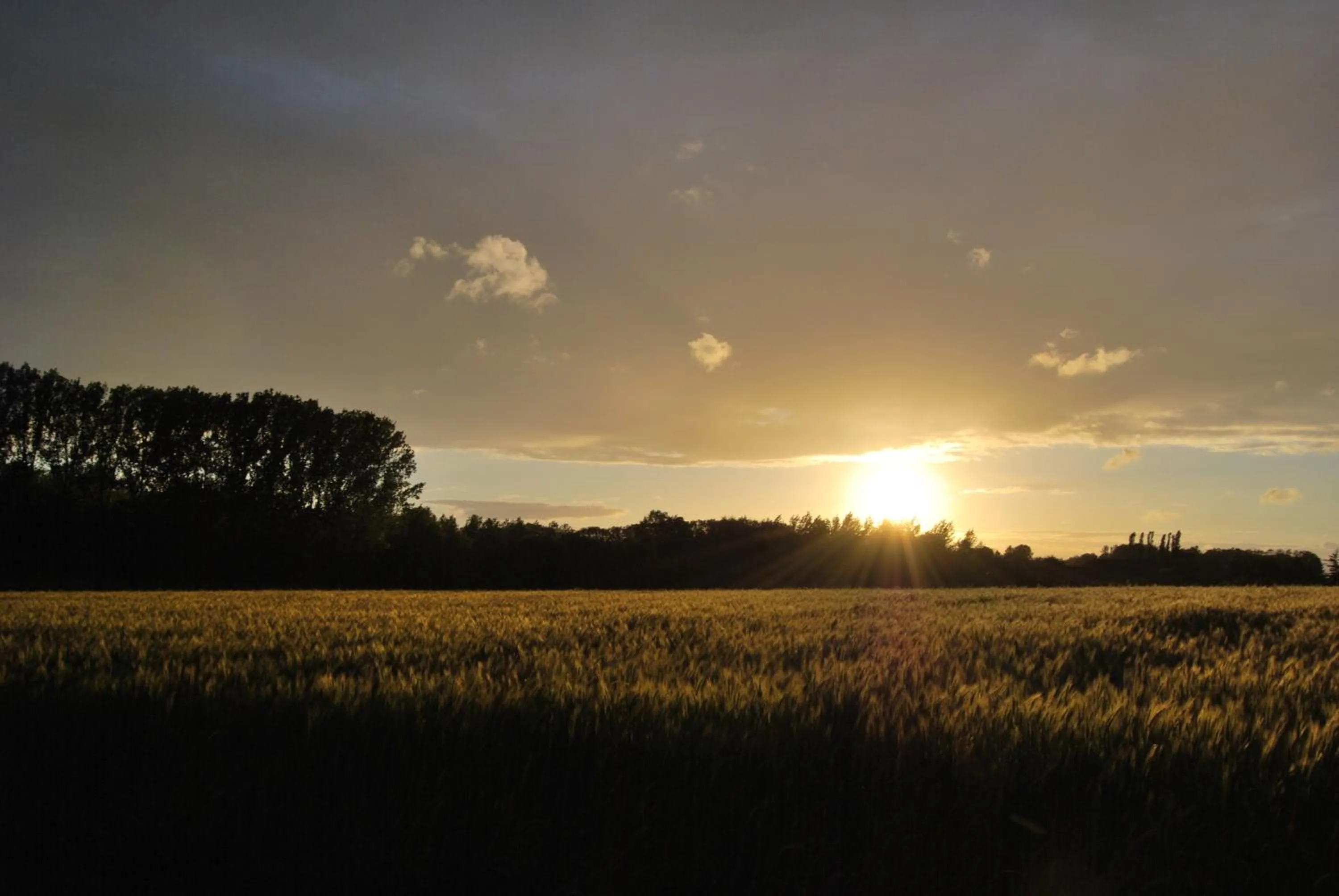 Natural landscape in B&B Bloonwinning