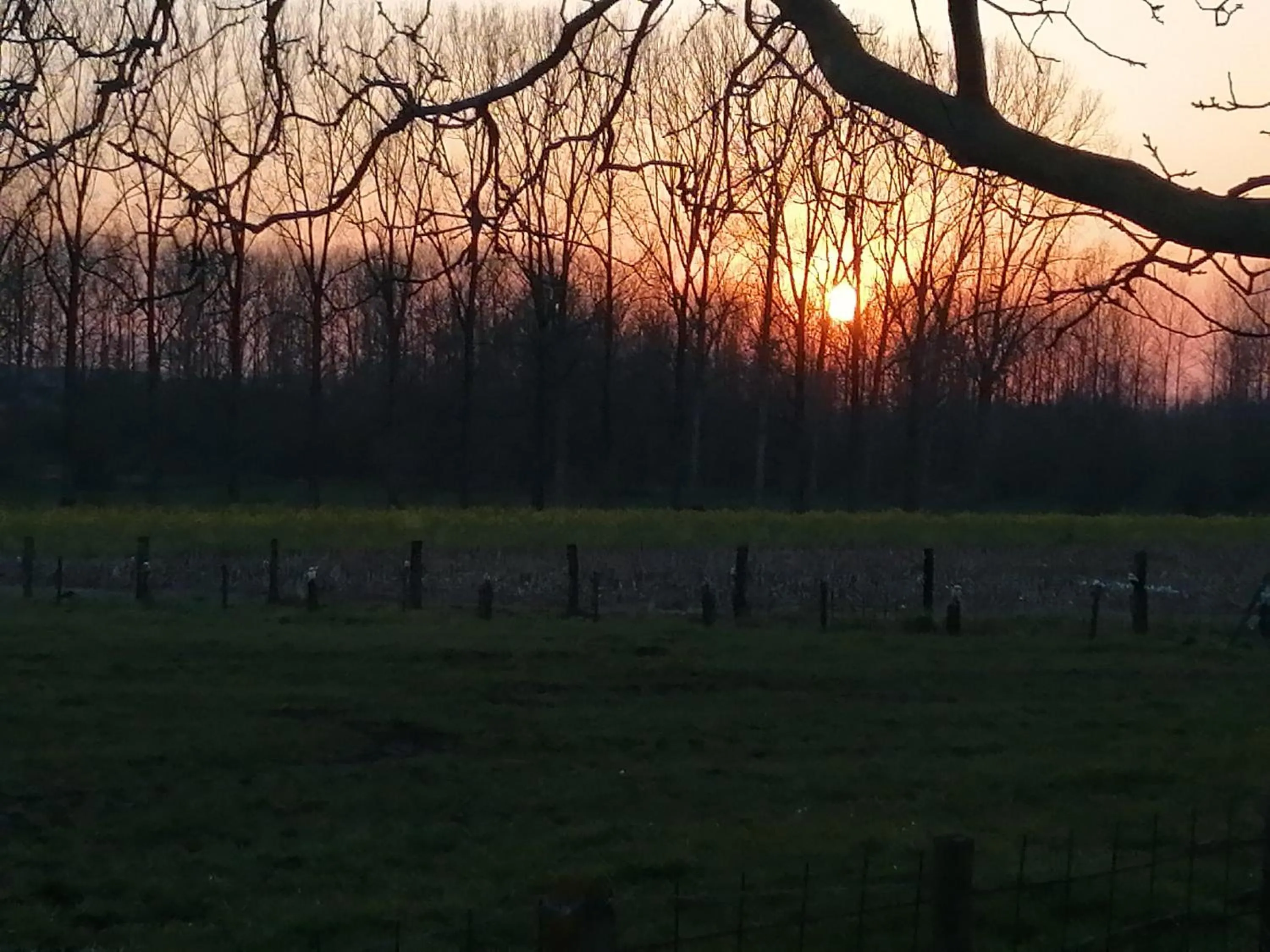 Natural landscape in B&B Bloonwinning