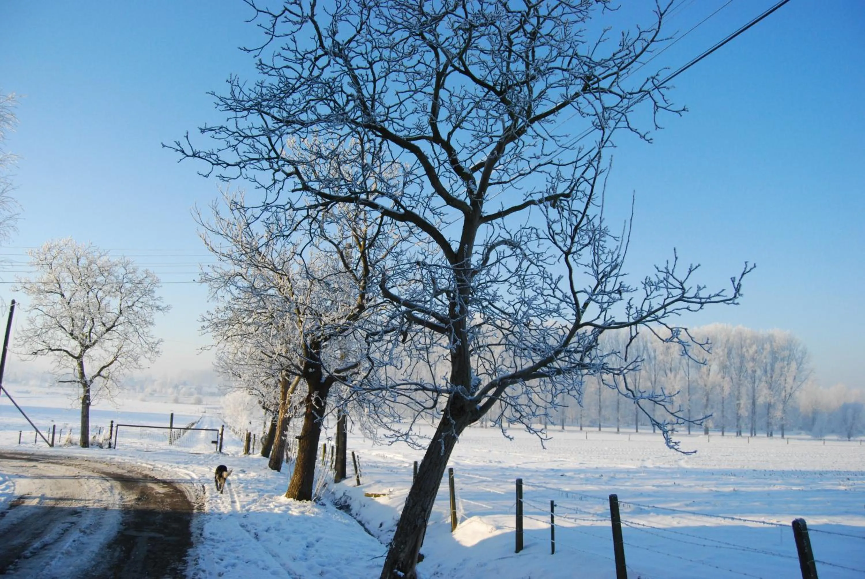 Natural landscape in B&B Bloonwinning