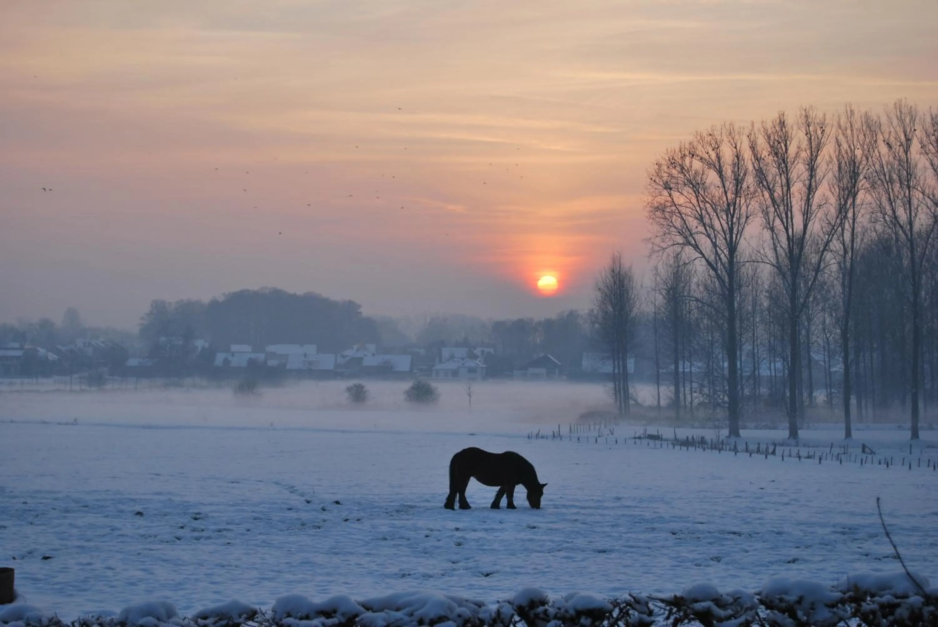 Natural landscape in B&B Bloonwinning
