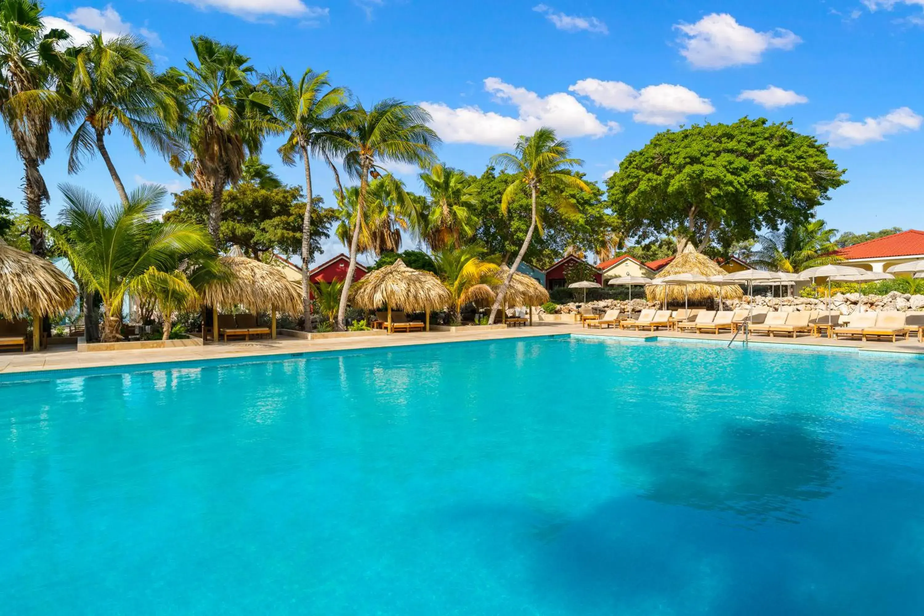 Swimming pool in Livingstone Jan Thiel Resort Swimming pool in Livingstone Jan Thiel Resort