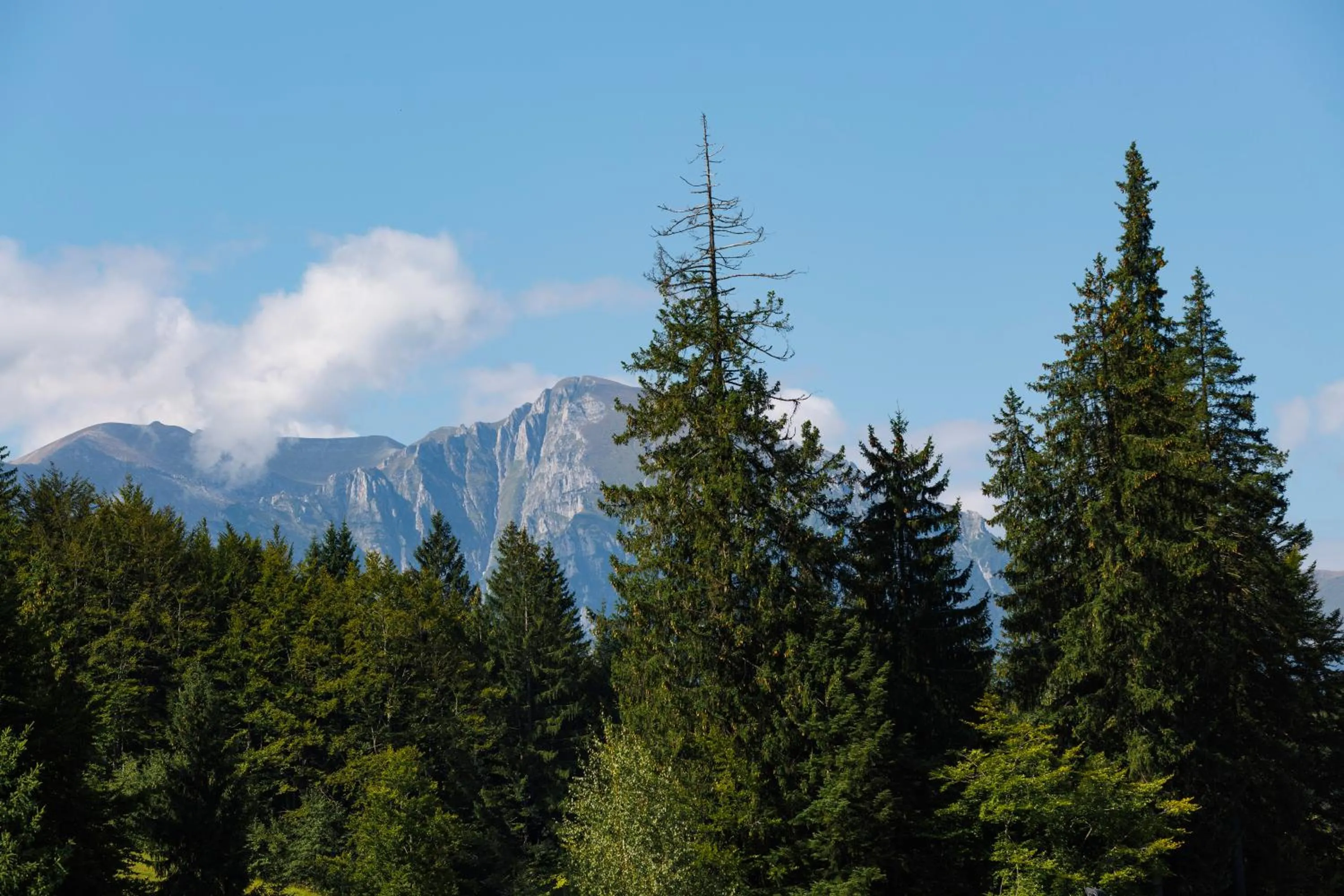 Natural landscape in Manor Ski Hotel
