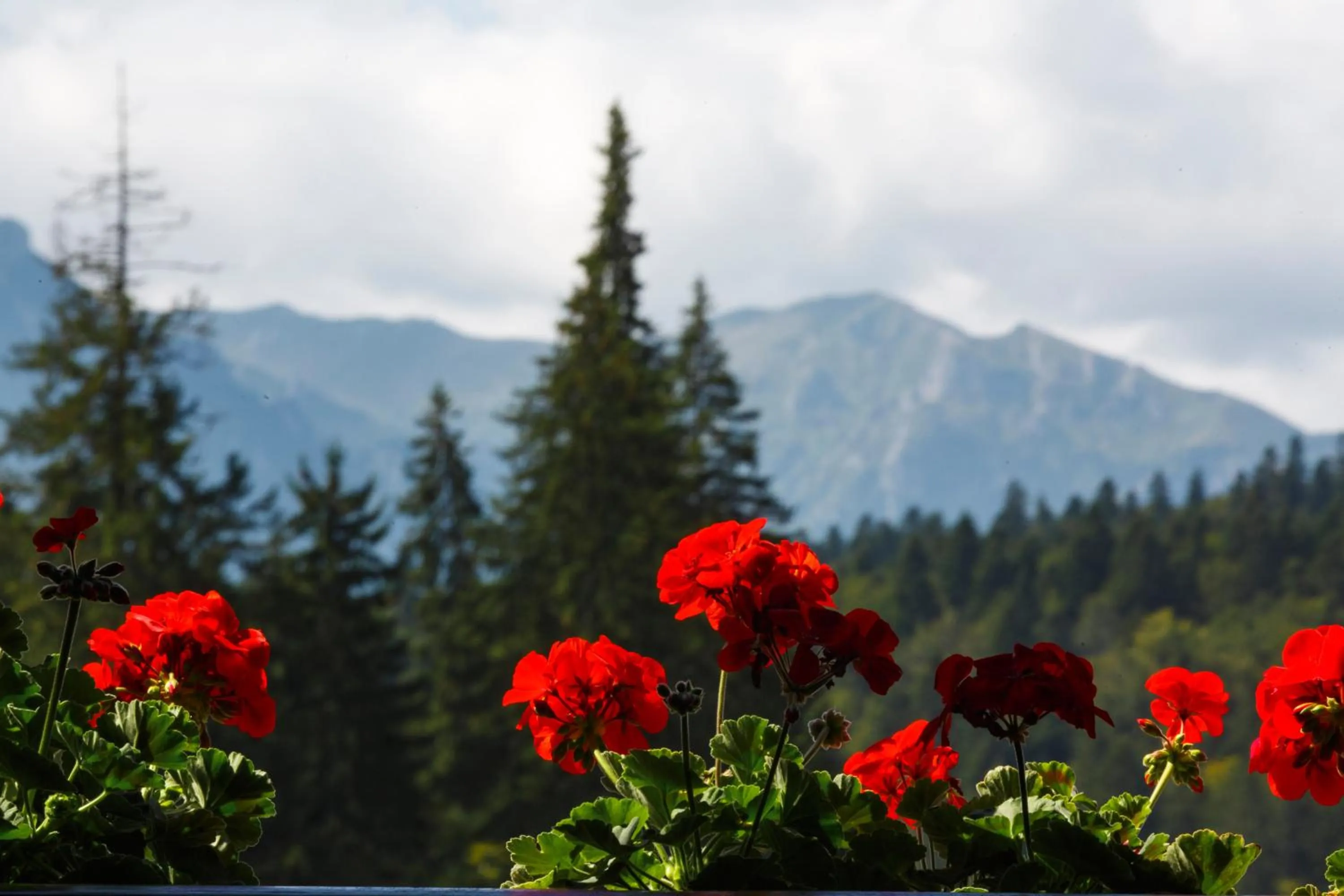 Nearby landmark in Manor Ski Hotel