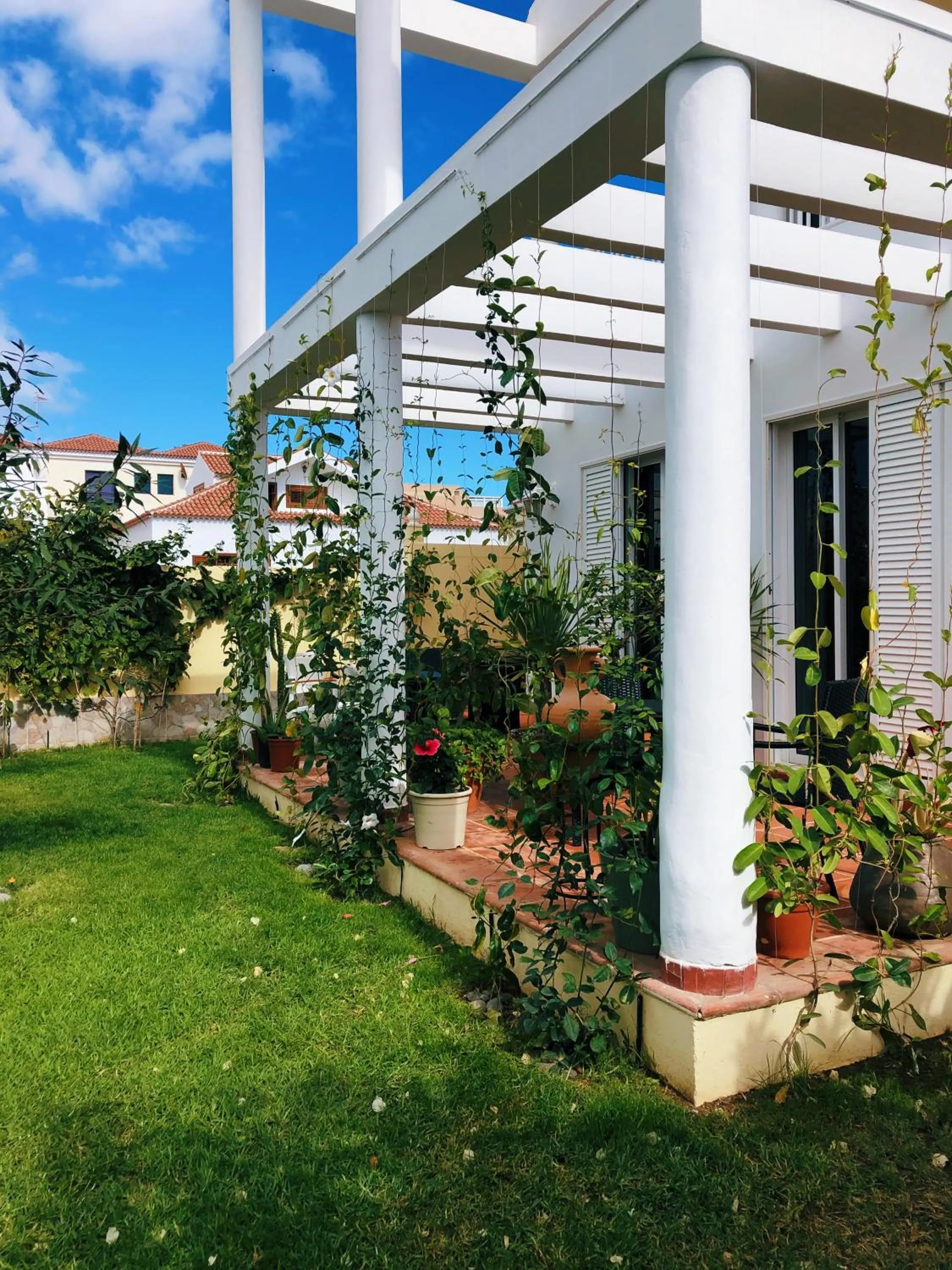 Garden in Villa 8 Islas