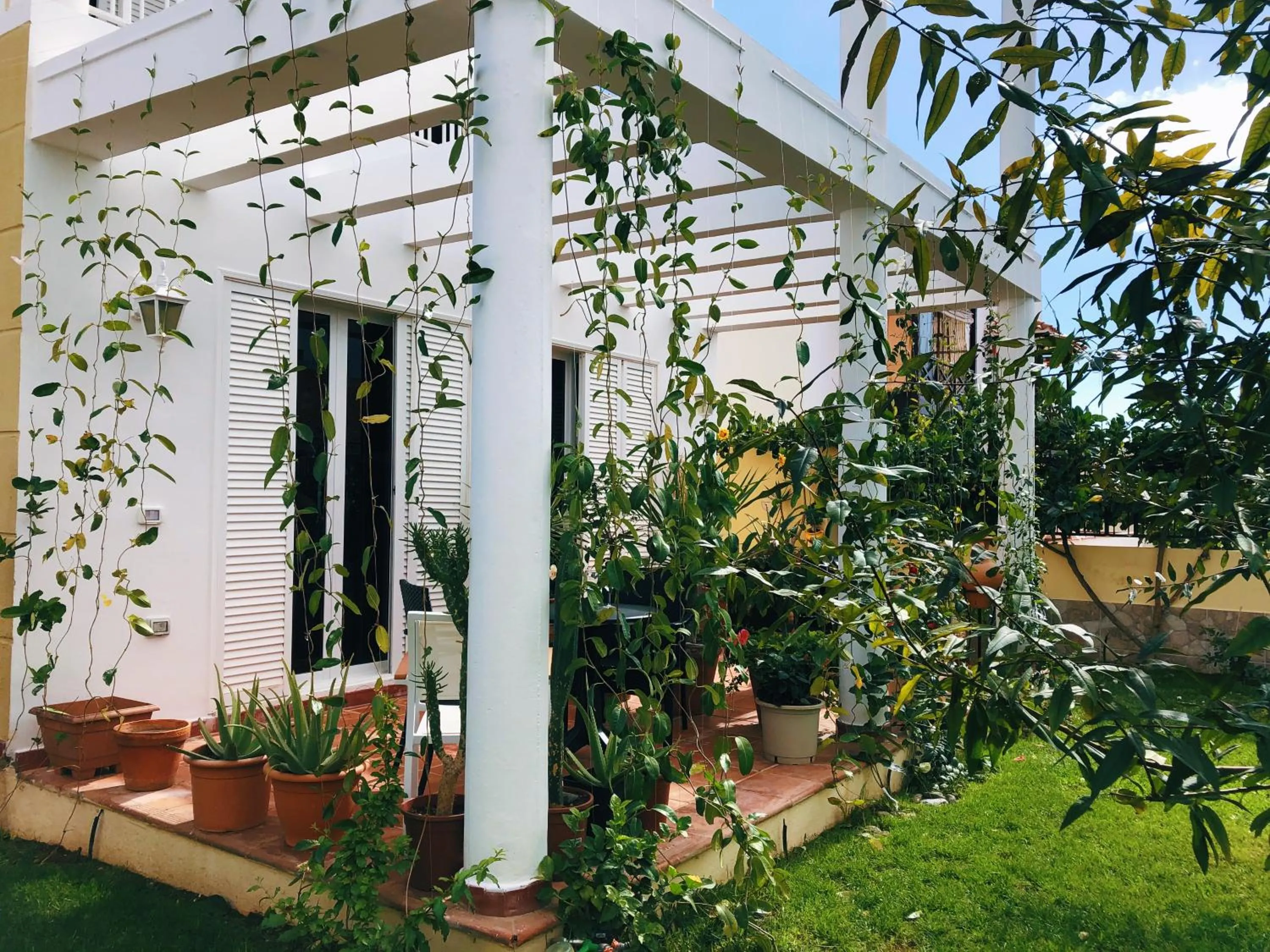 Garden in Villa 8 Islas