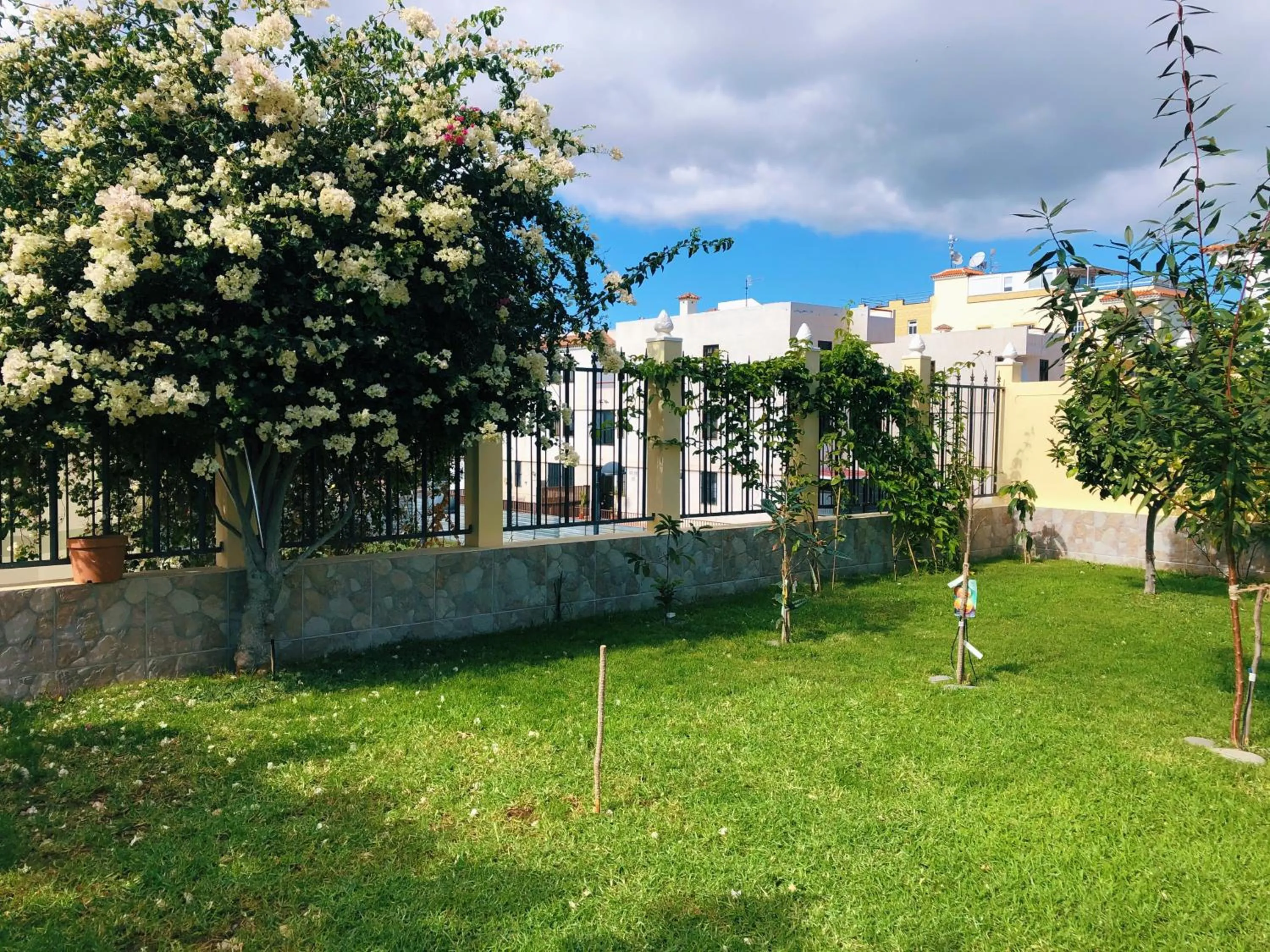 Garden in Villa 8 Islas