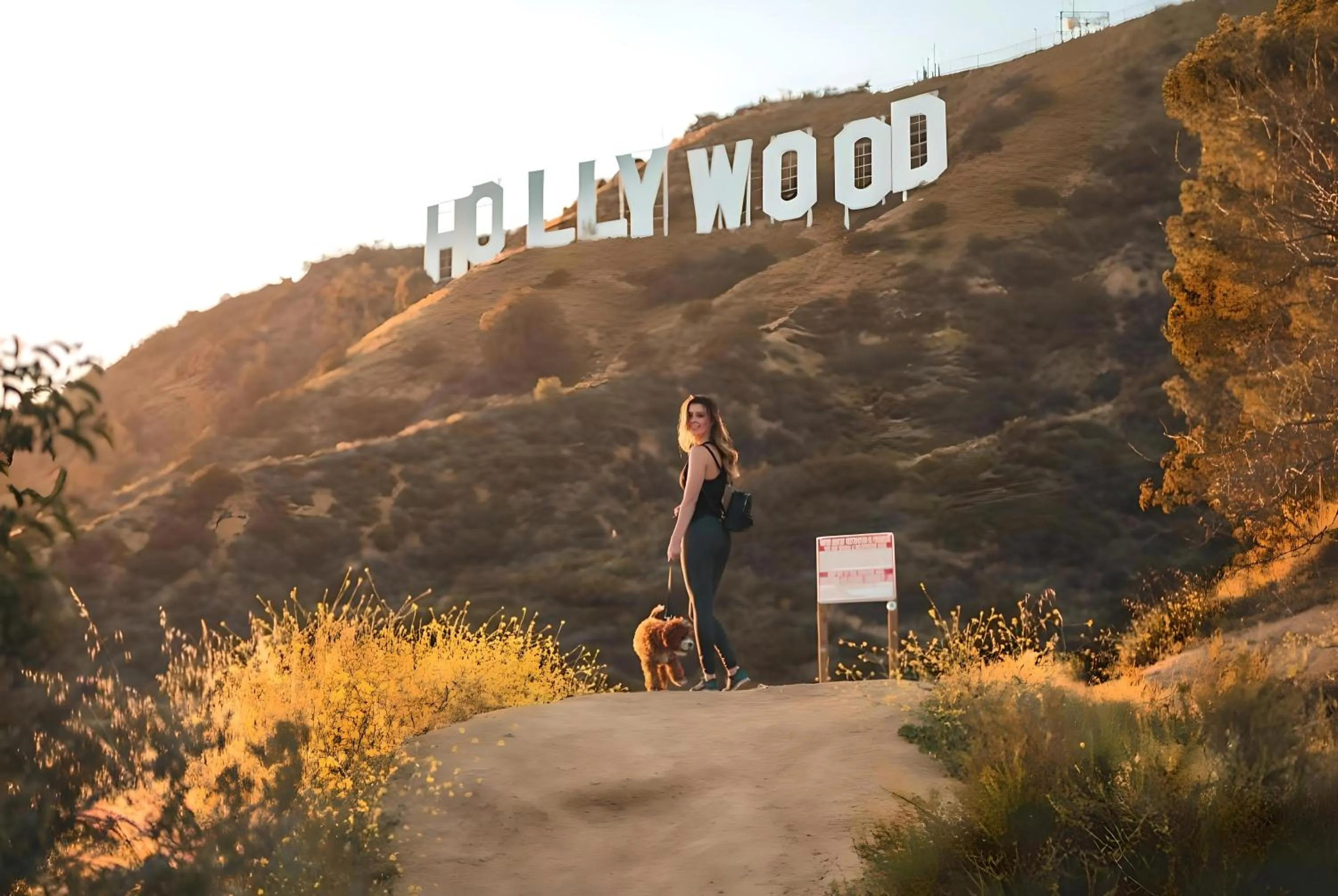 Nearby landmark in Los Angeles Premium City Suites with Free Parking