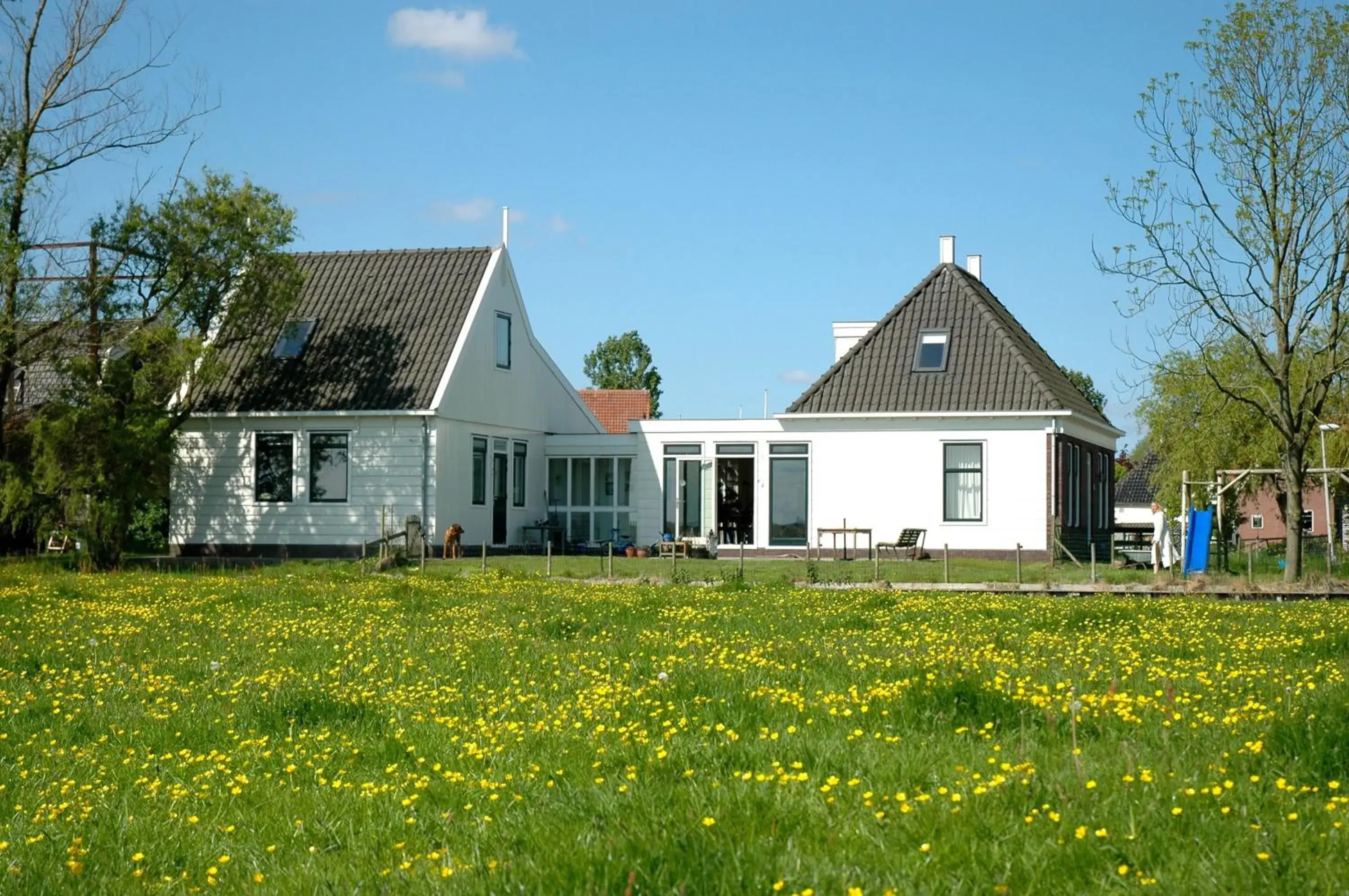 Amsterdam Farmland Amsterdam Farmland