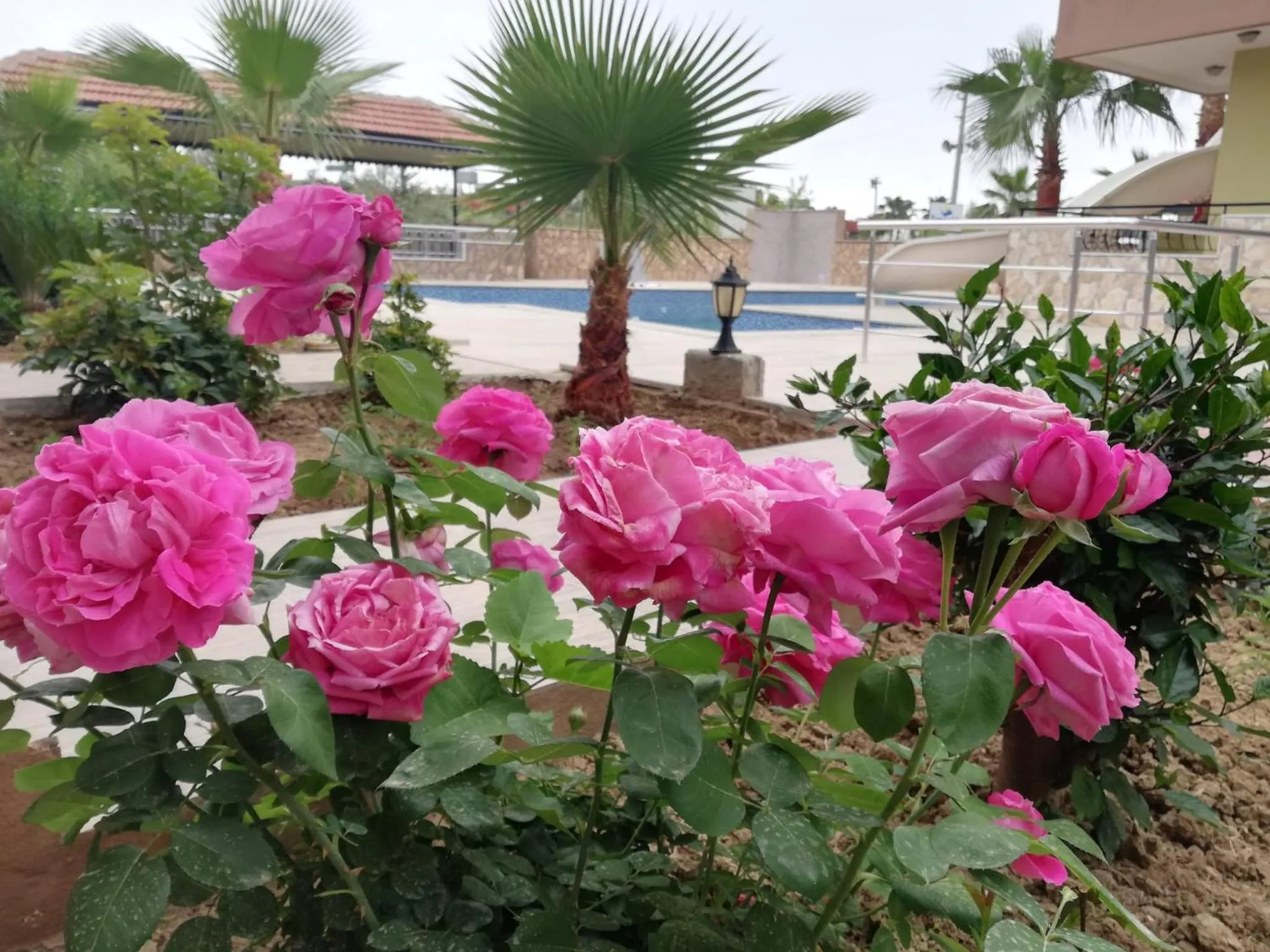 Spring in Esmeralda Butik Hotel