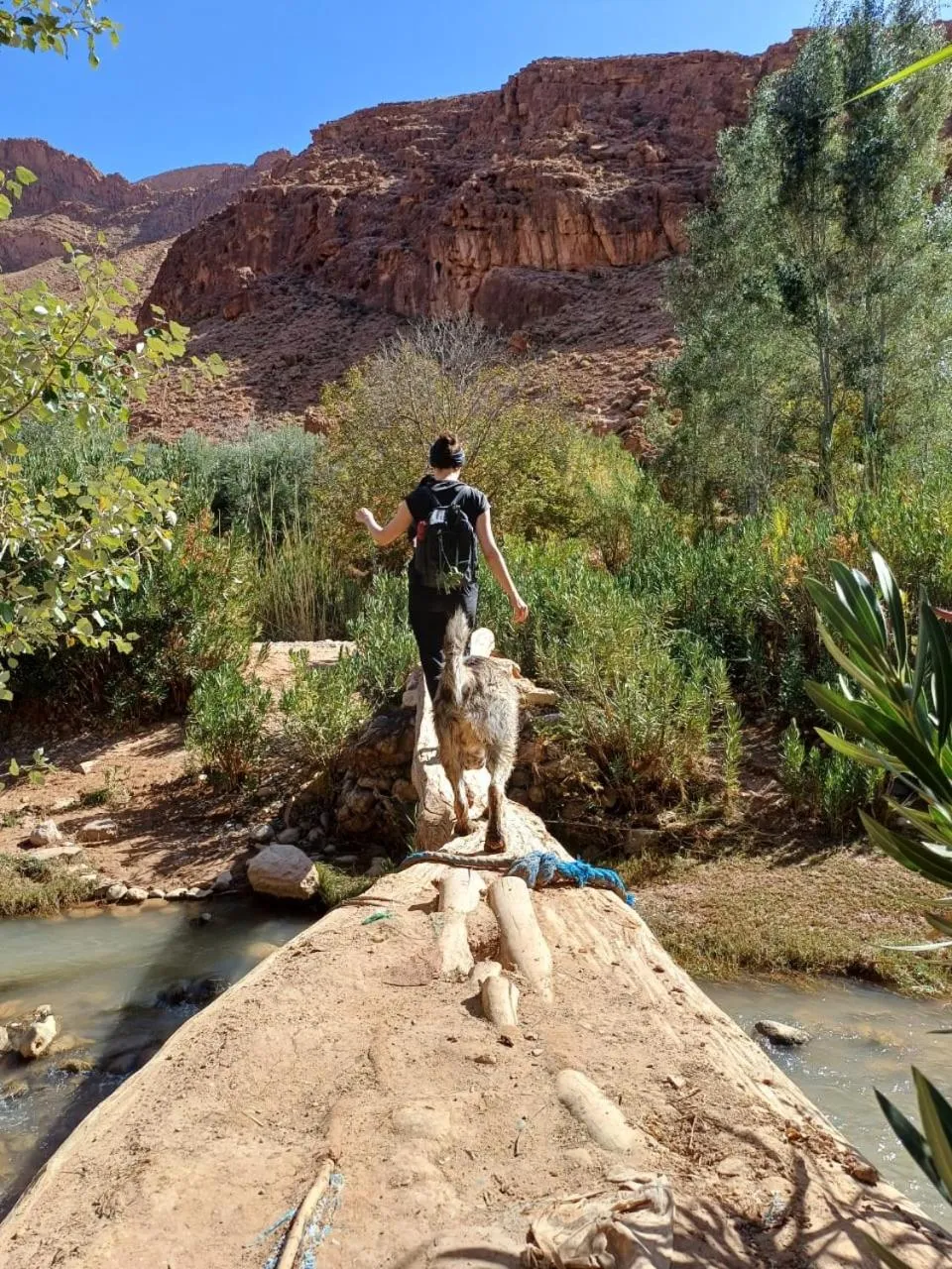 Maison D'hôte La Vallée Des Figues