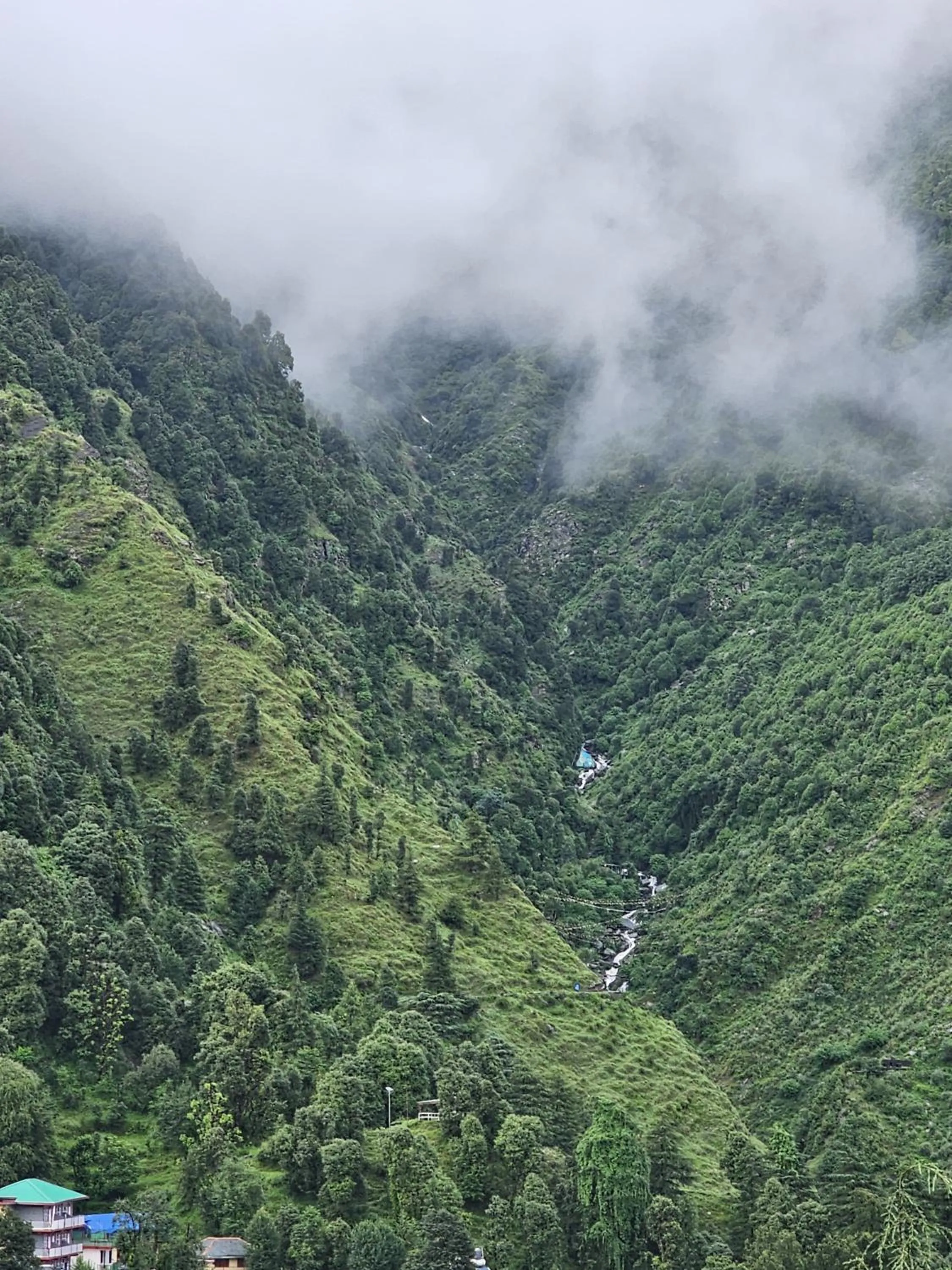 View (from property/room) in The Bunksters Mcleodganj, Dharmkot