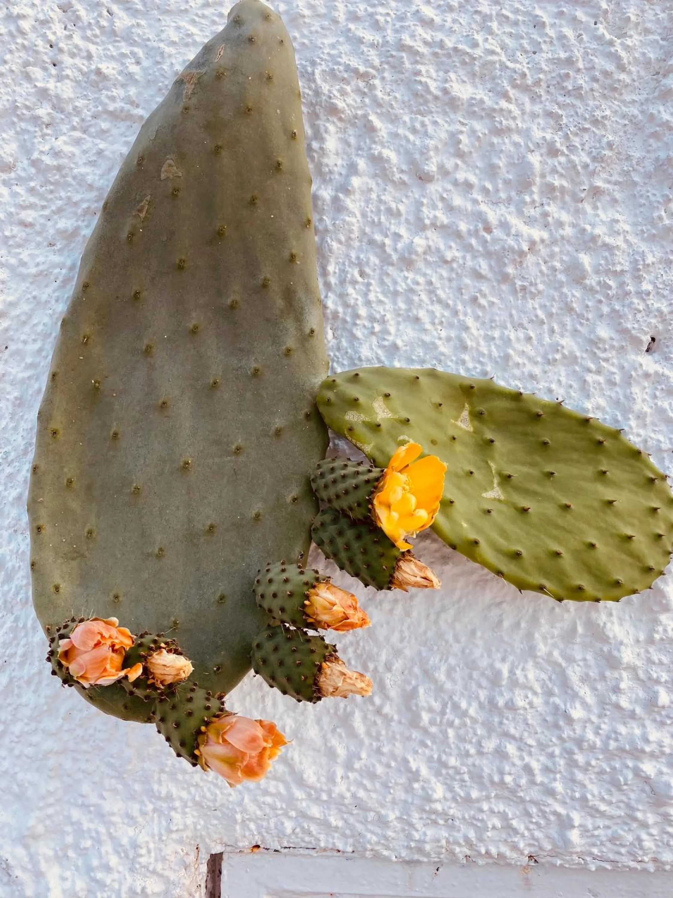 Hotel Borgo Cacciatori