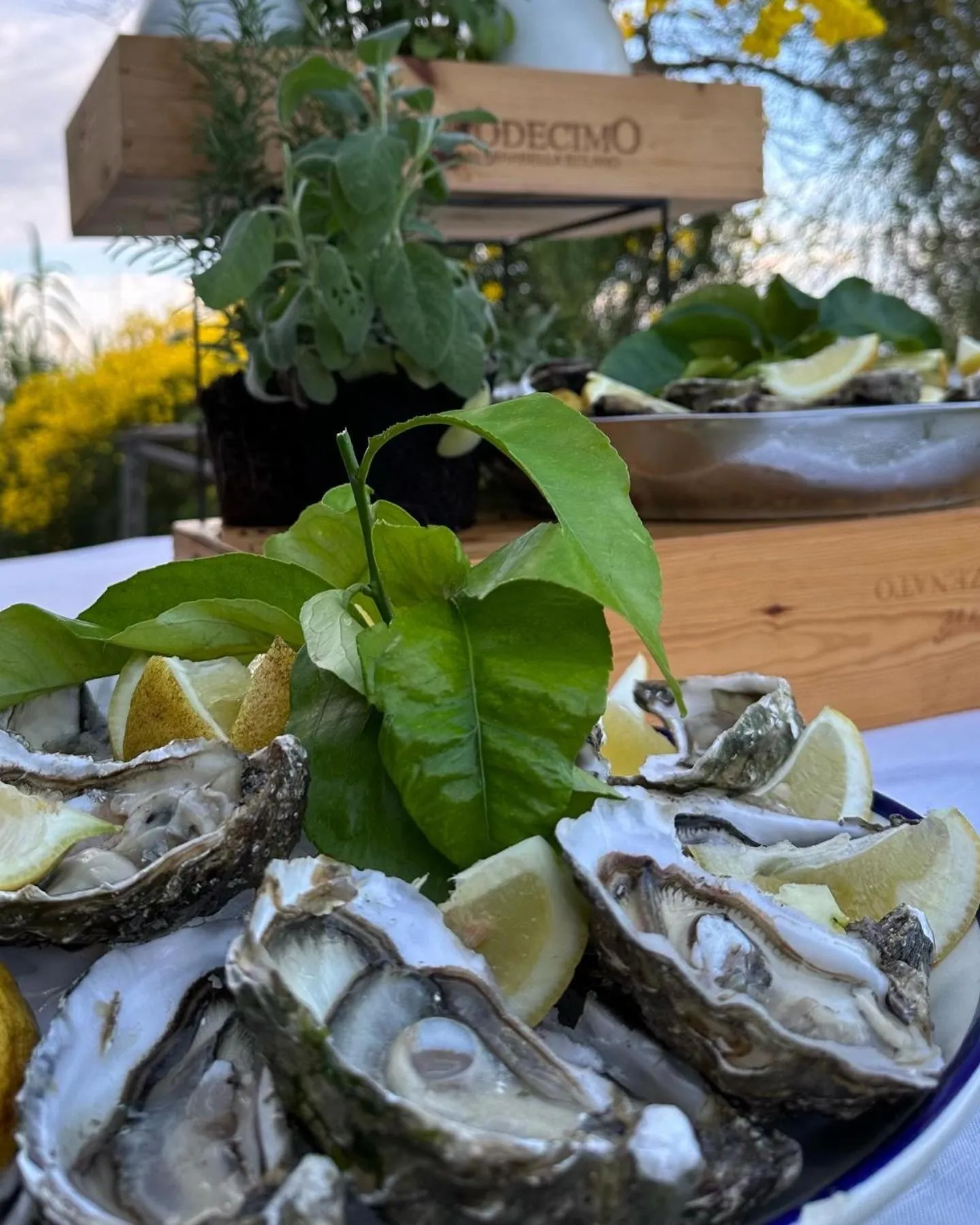 Hotel Borgo Cacciatori