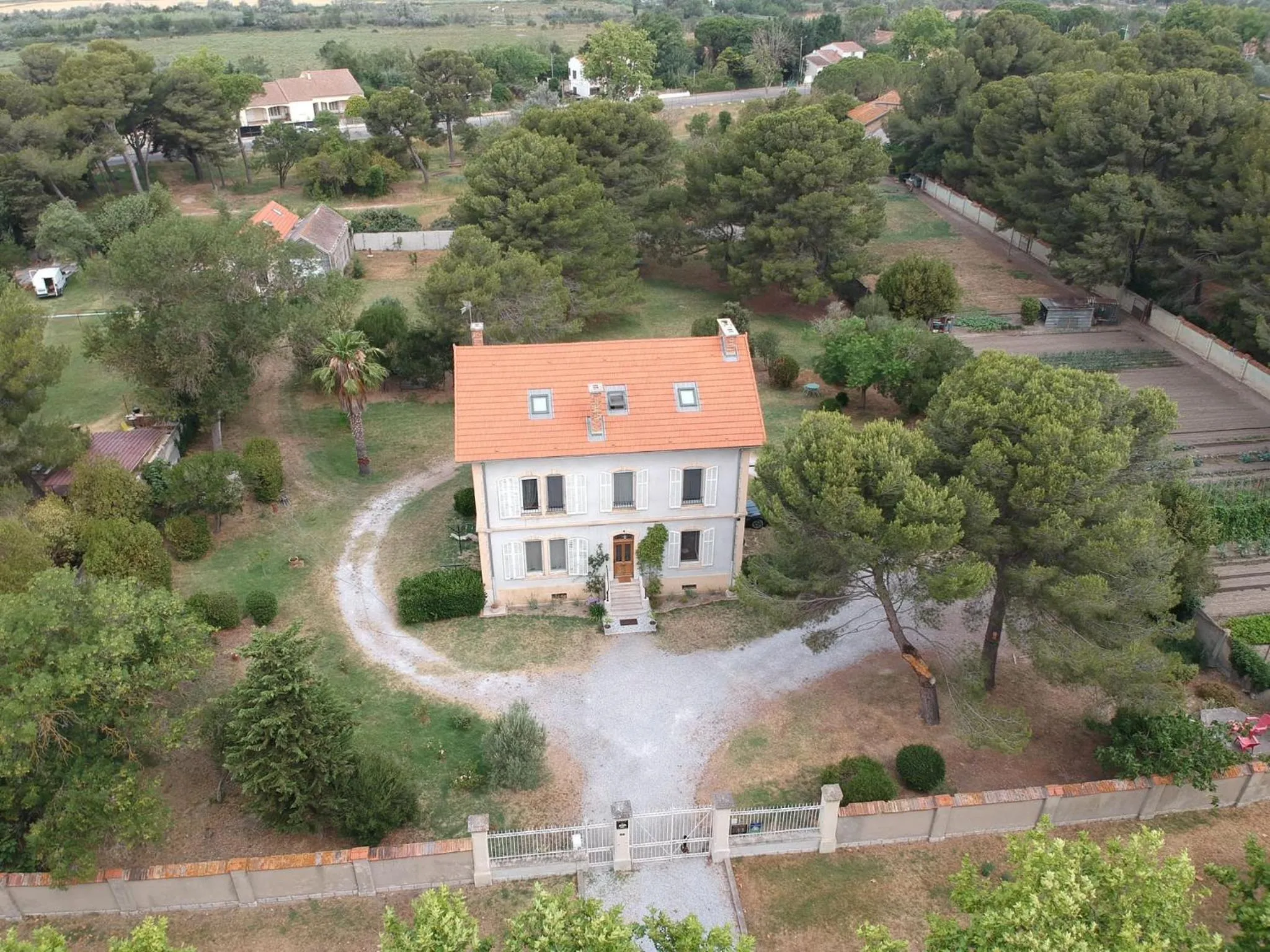 Un Nid en Camargue