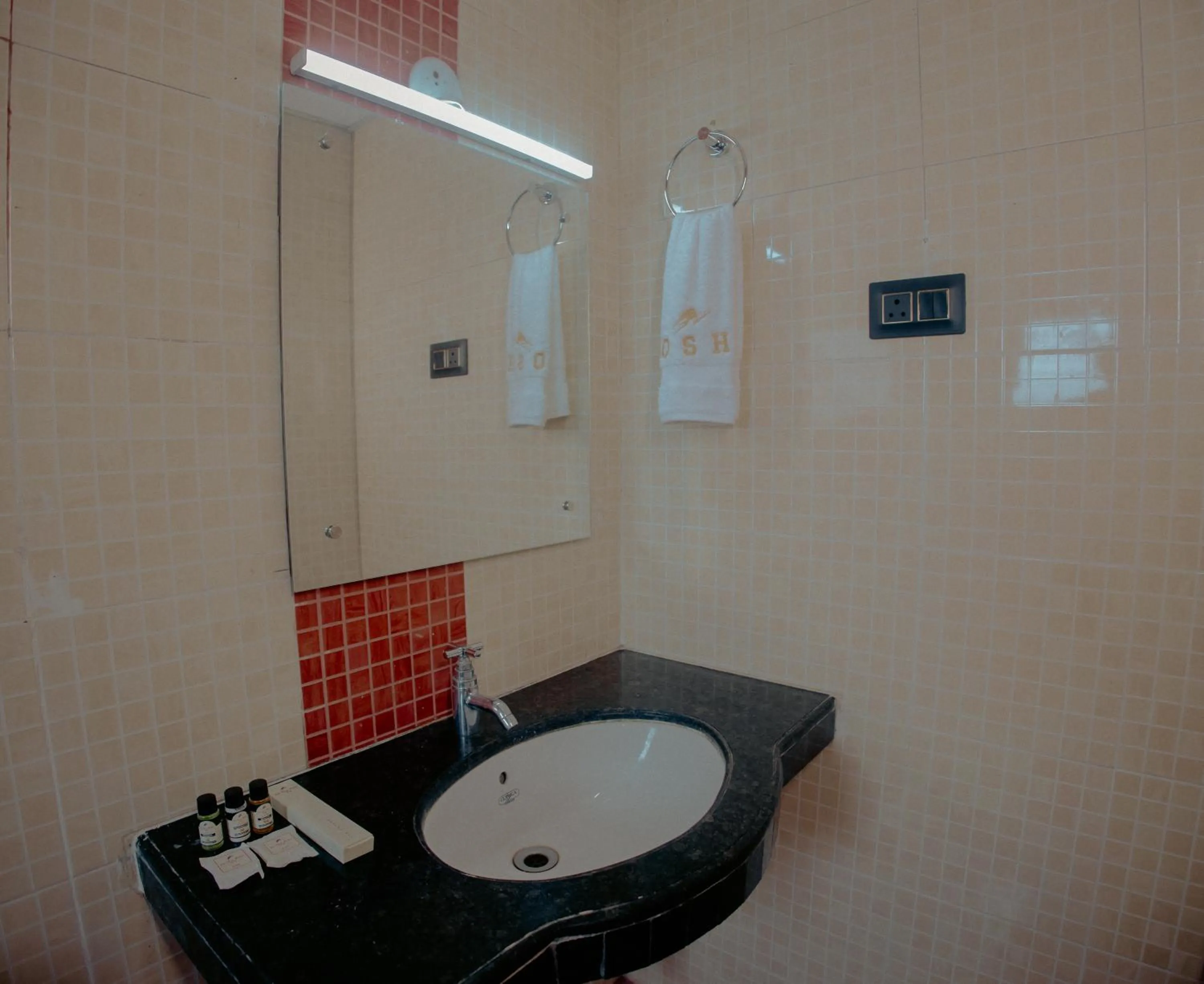 Bathroom in Om Shiv Hotel
