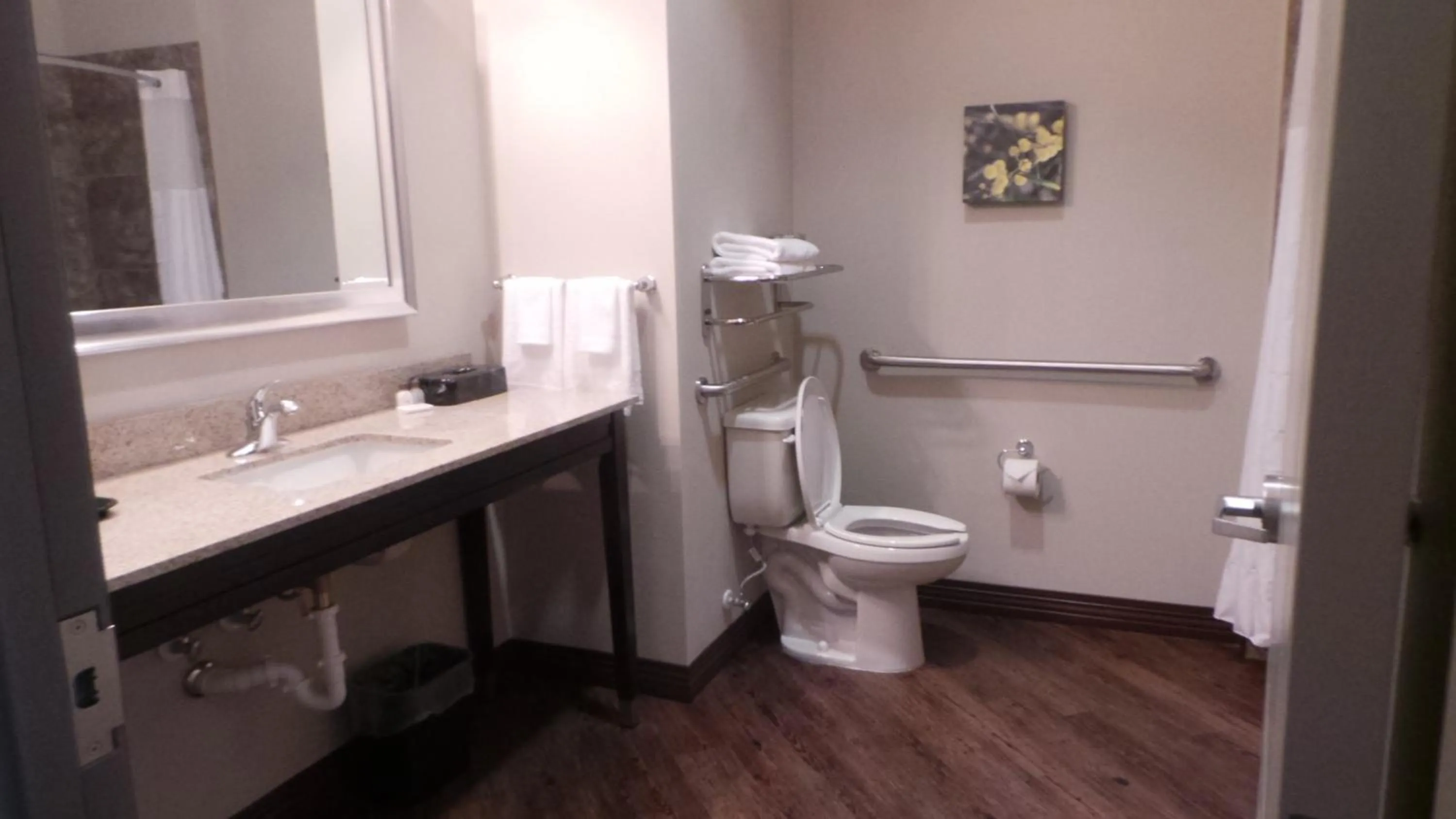 Bathroom in Baymont by Wyndham Andrews TX