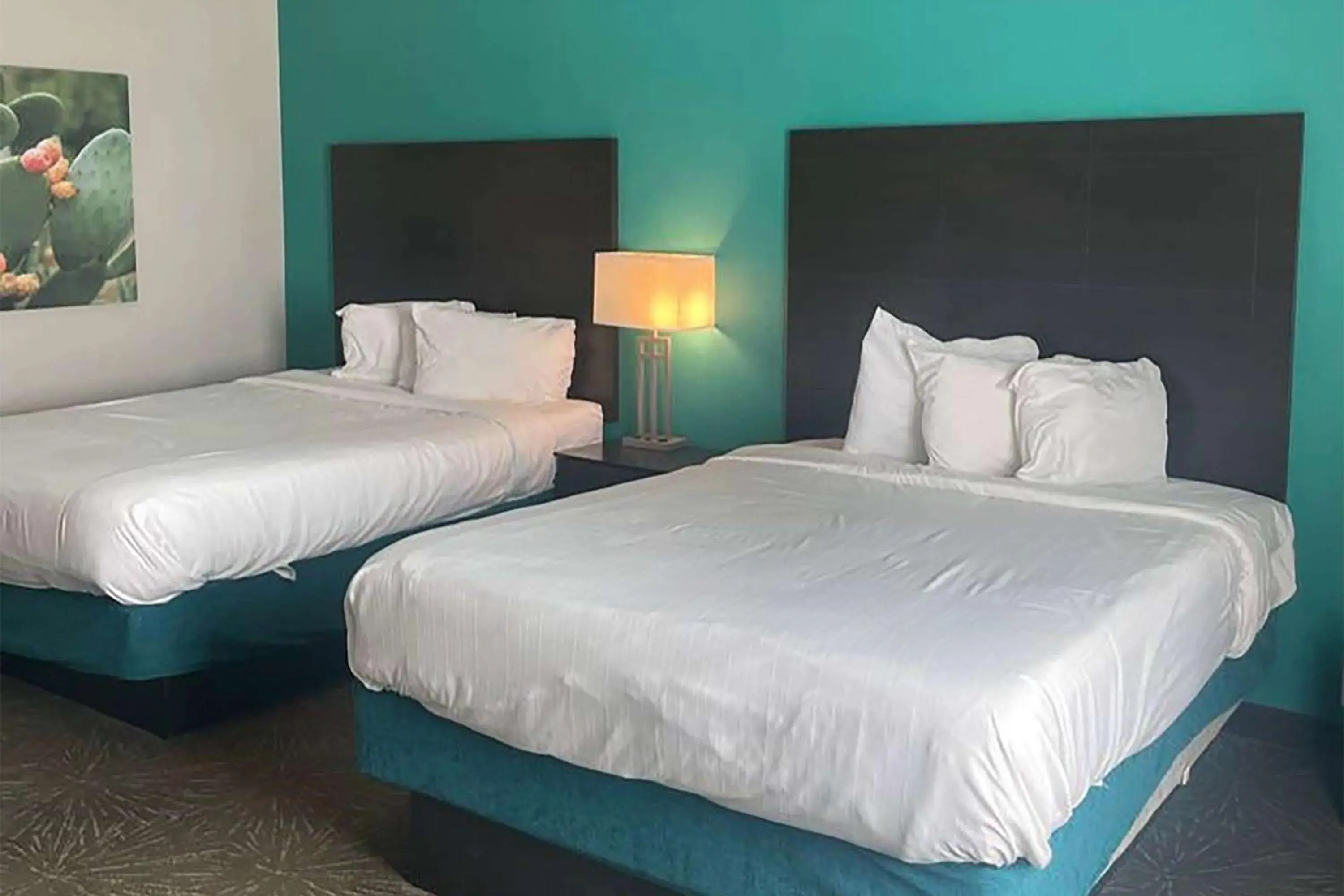 Photo of the whole room, Bed in Baymont by Wyndham Andrews TX Photo of the whole room, Bed in Baymont by Wyndham Andrews TX