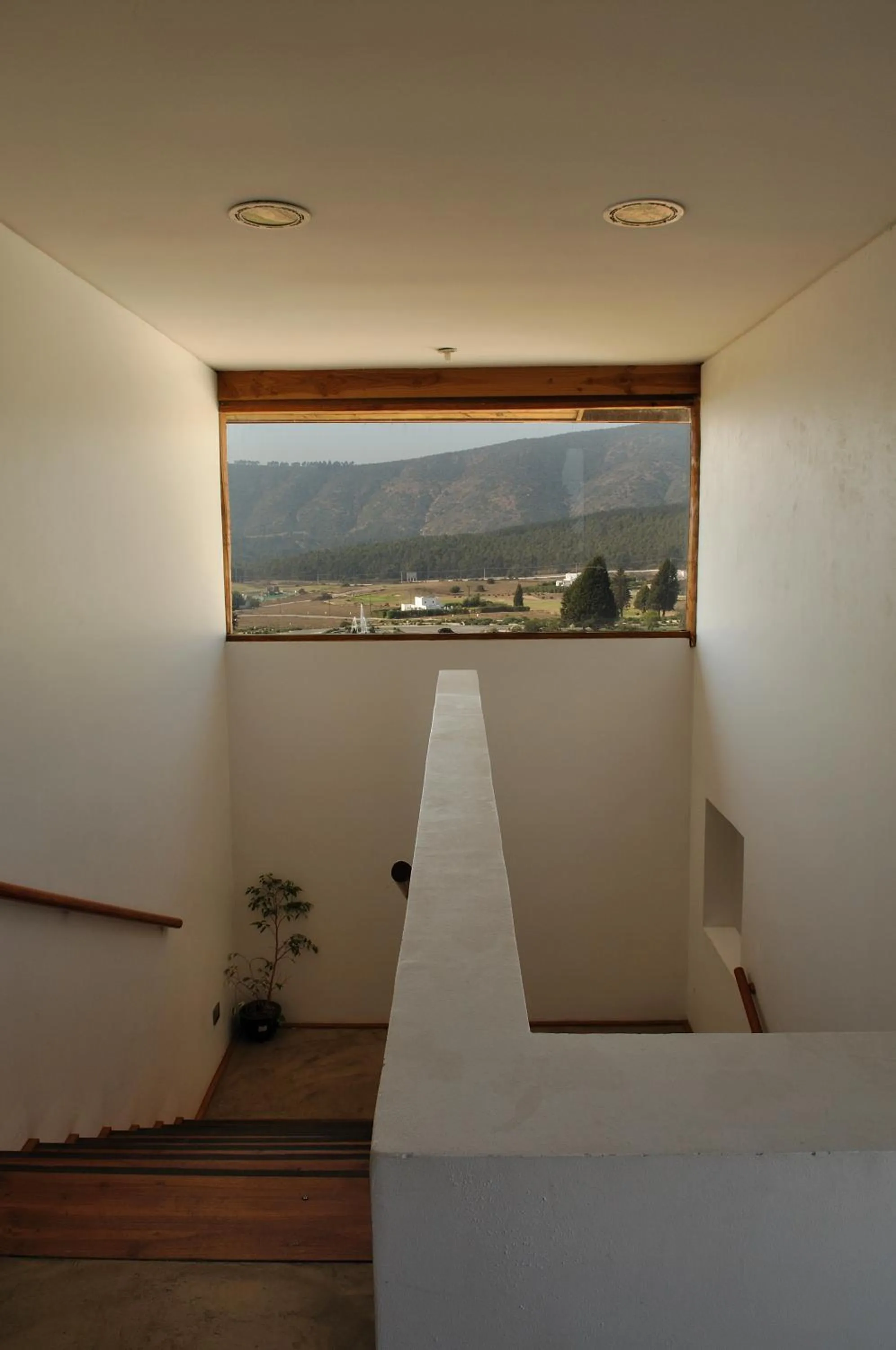 Garden view in Hotel Green en Marbella