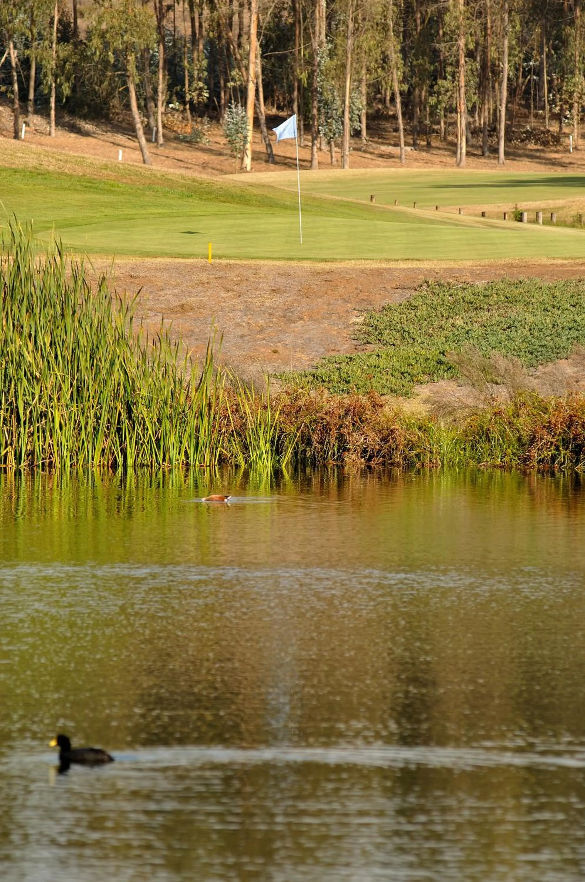 Golfcourse in Hotel Green en Marbella