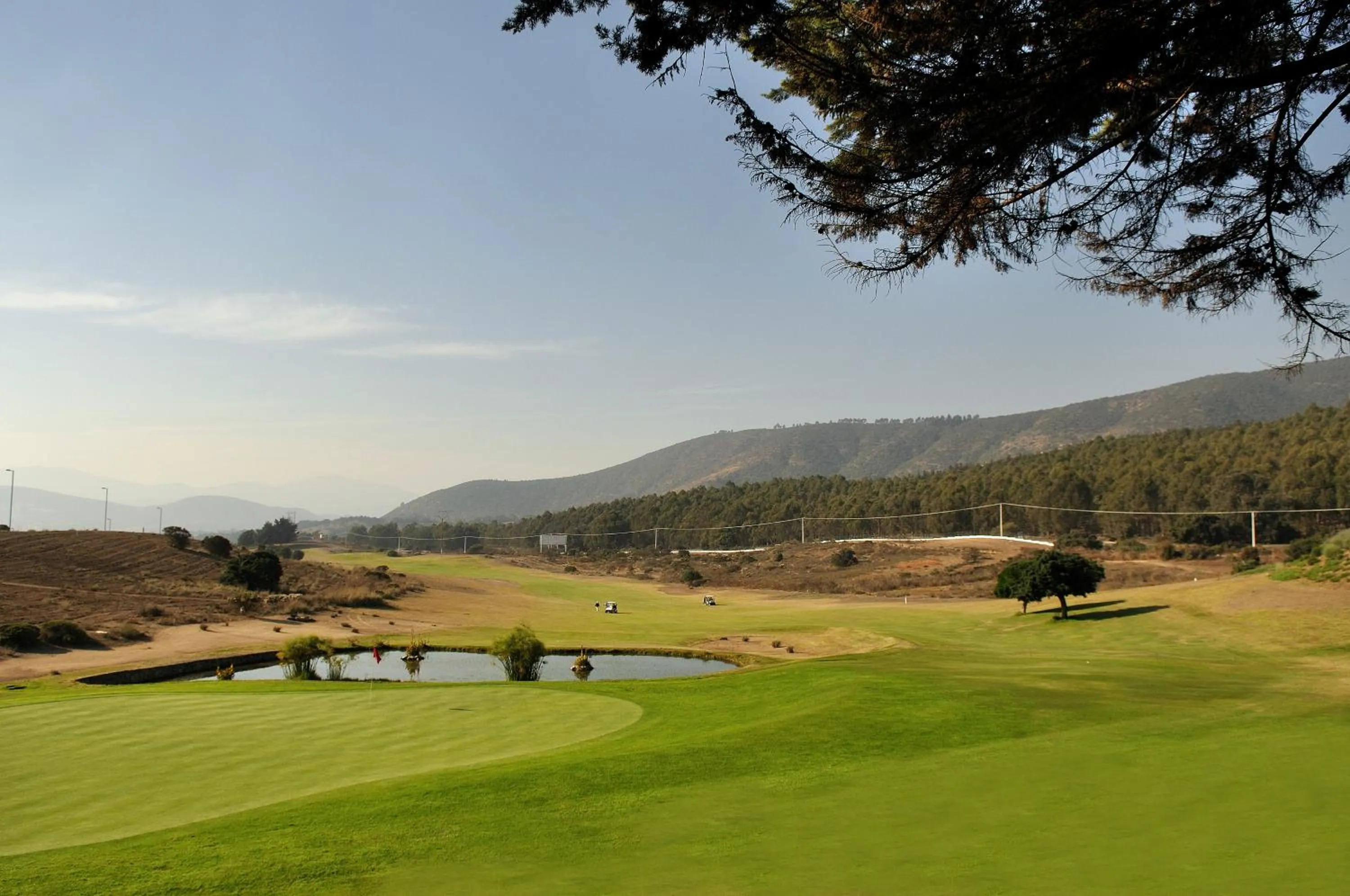 Natural landscape in Hotel Green en Marbella