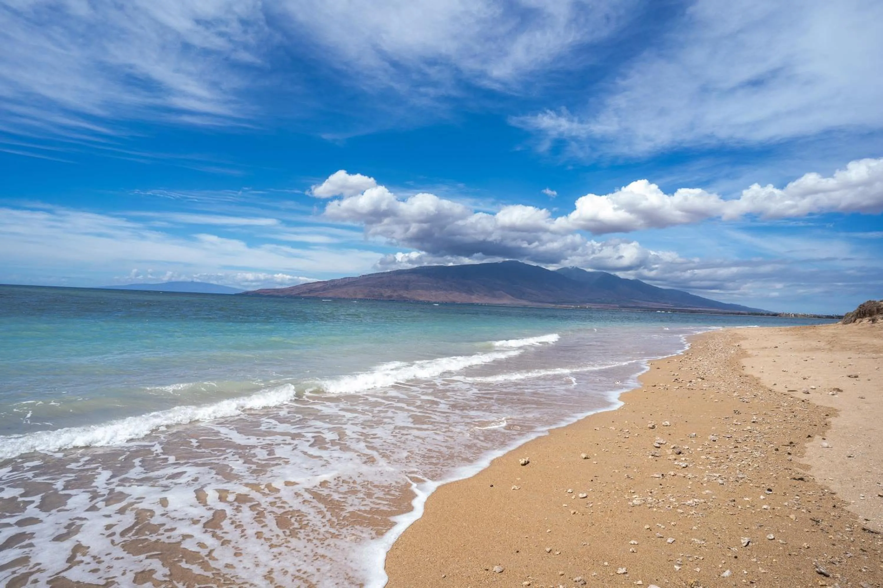 Sunny and Soothing Oceanfront Vistas