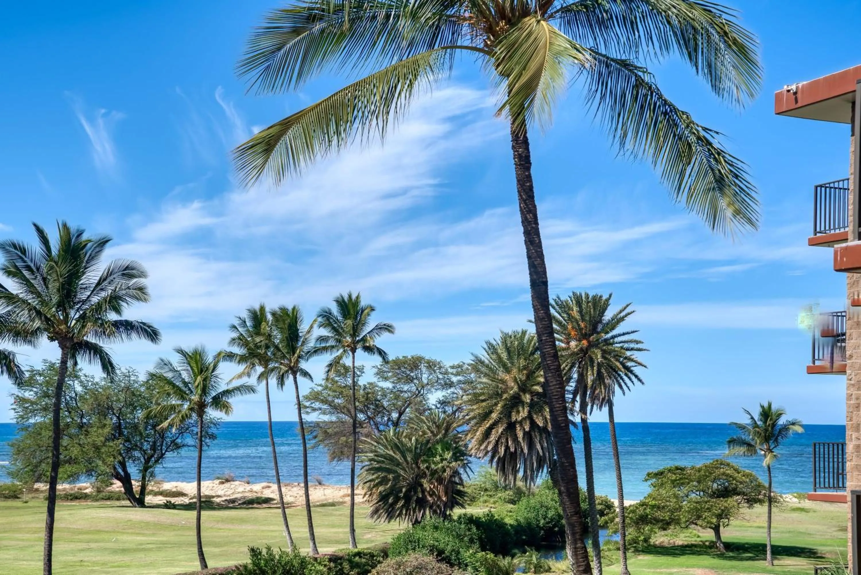 Sunny and Soothing Oceanfront Vistas