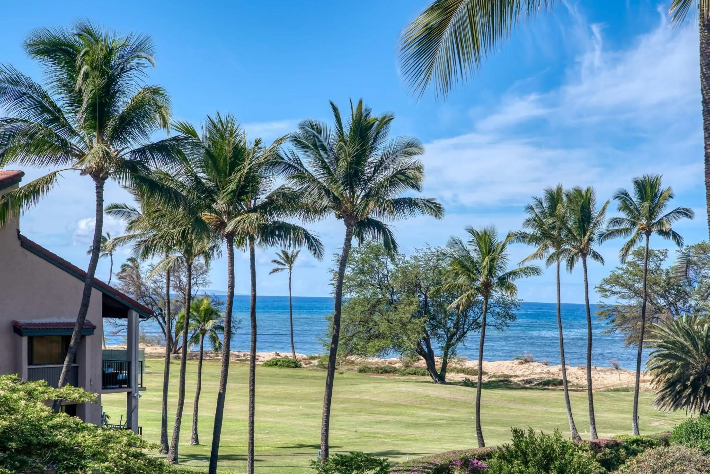 Sunny and Soothing Oceanfront Vistas