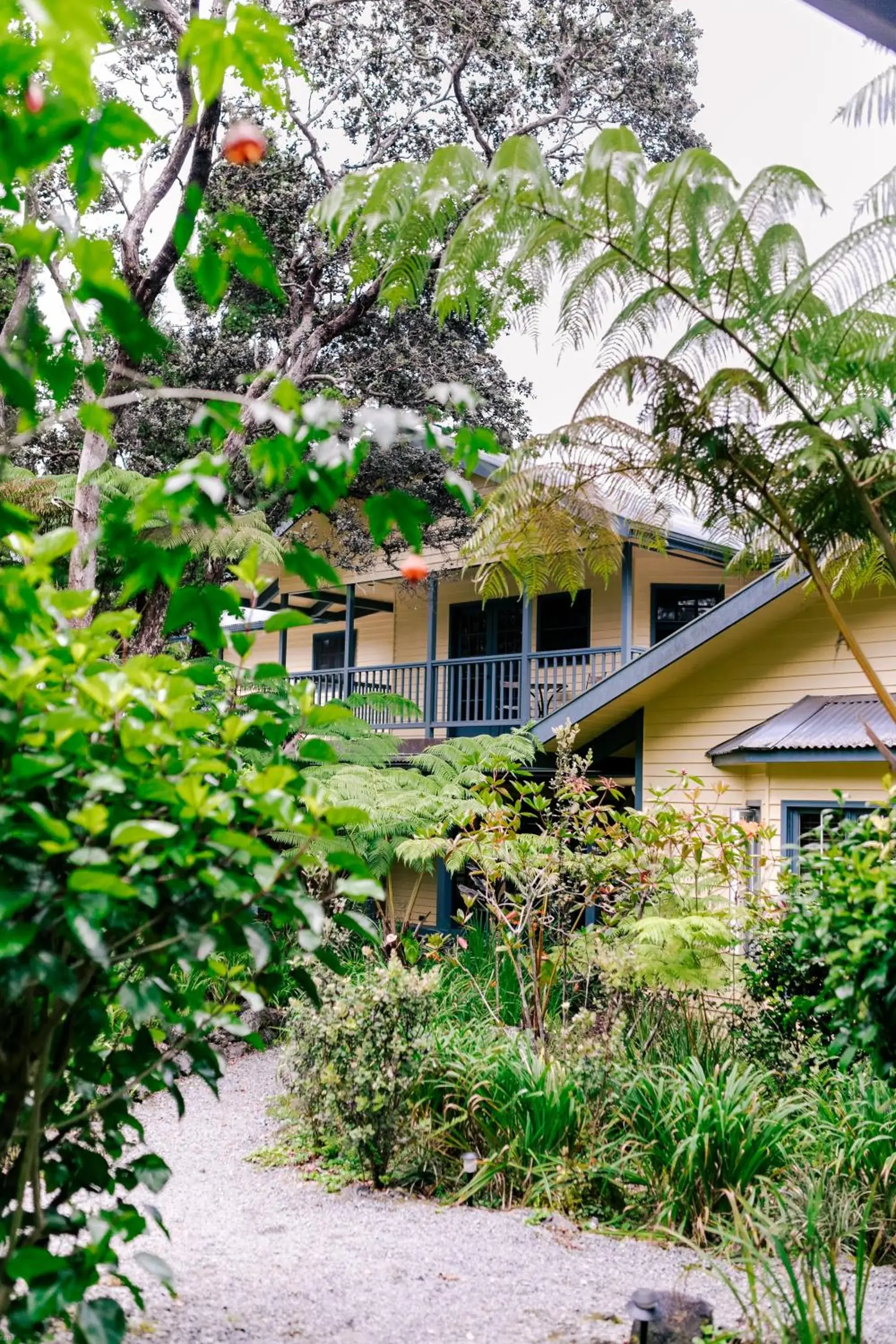 Garden in Kilauea Lodge and Restaurant Garden in Kilauea Lodge and Restaurant