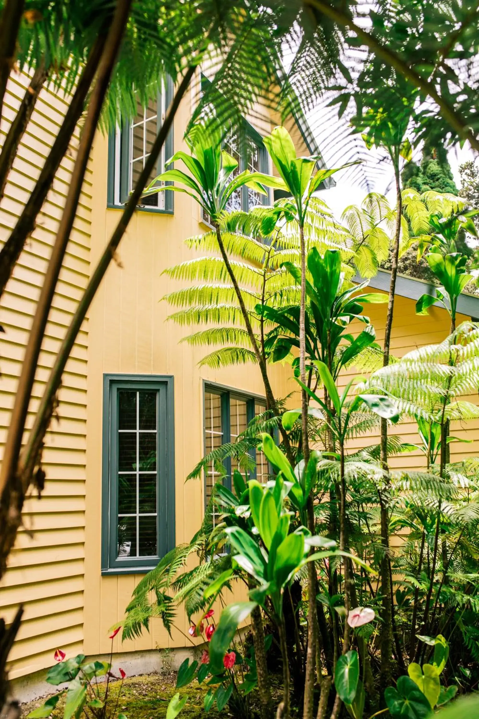 Property building in Kilauea Lodge and Restaurant Property building in Kilauea Lodge and Restaurant