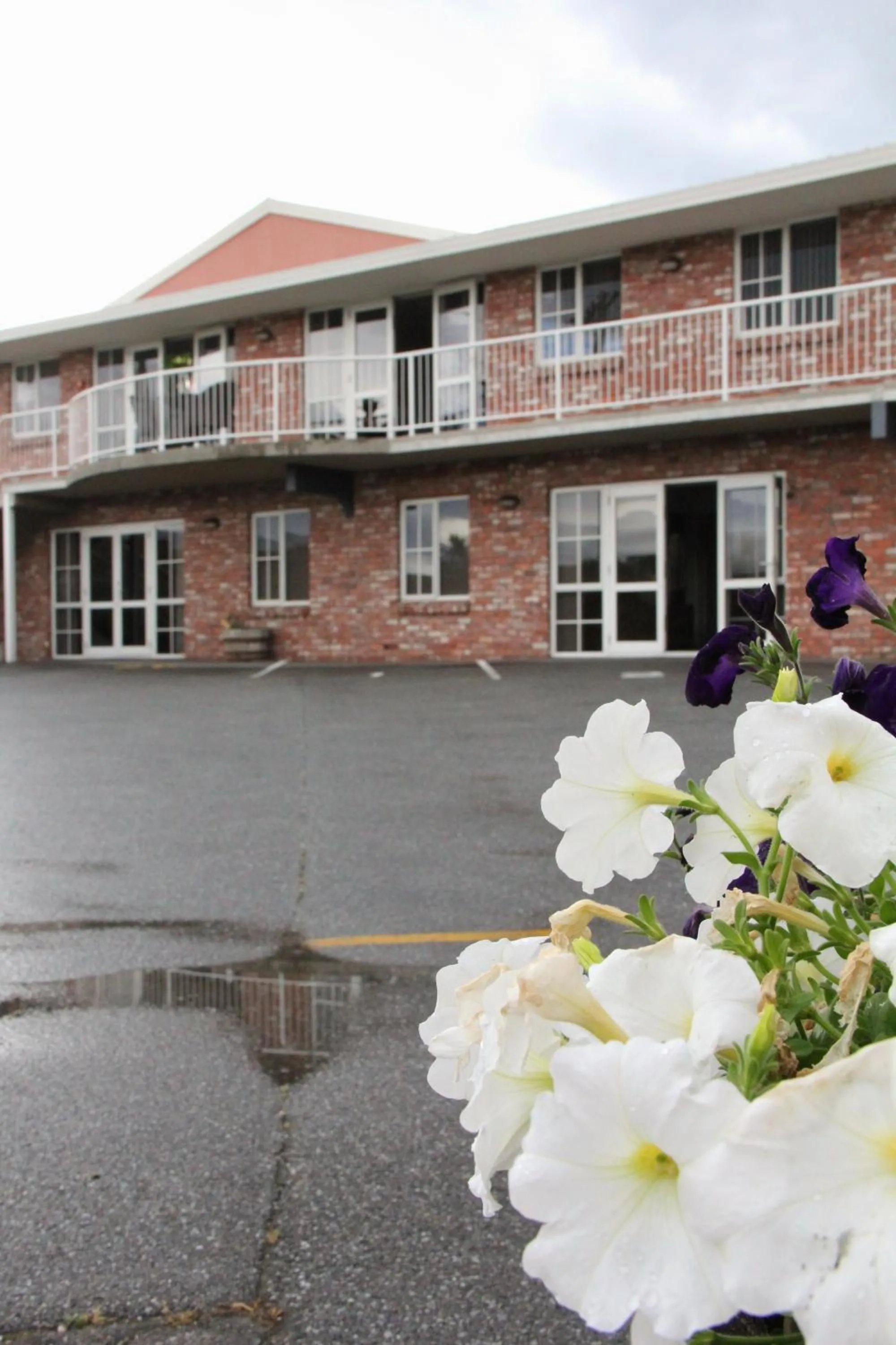Property building in Alexandra Heights Motel