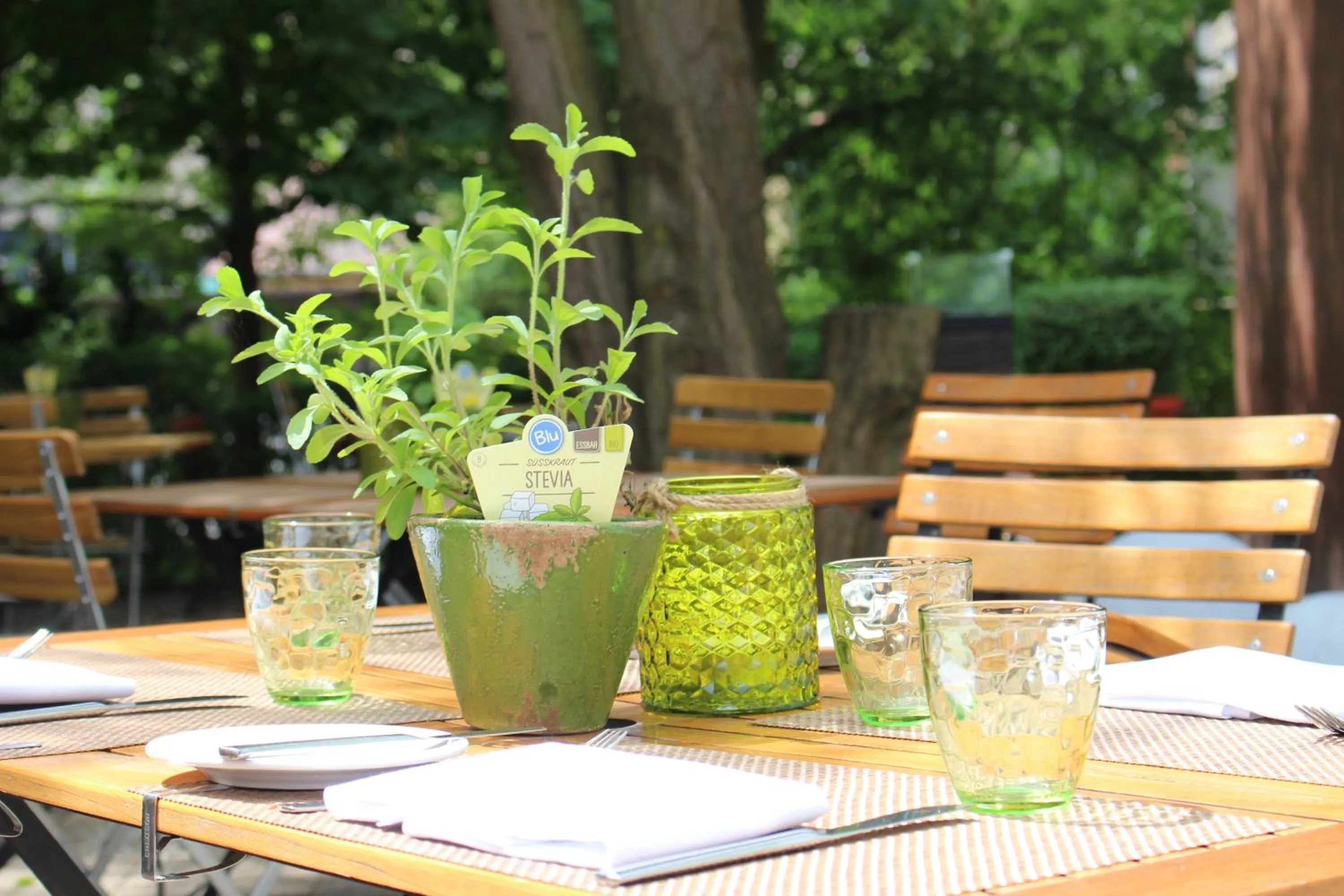 Balcony/Terrace in Hotel Alexandersbad