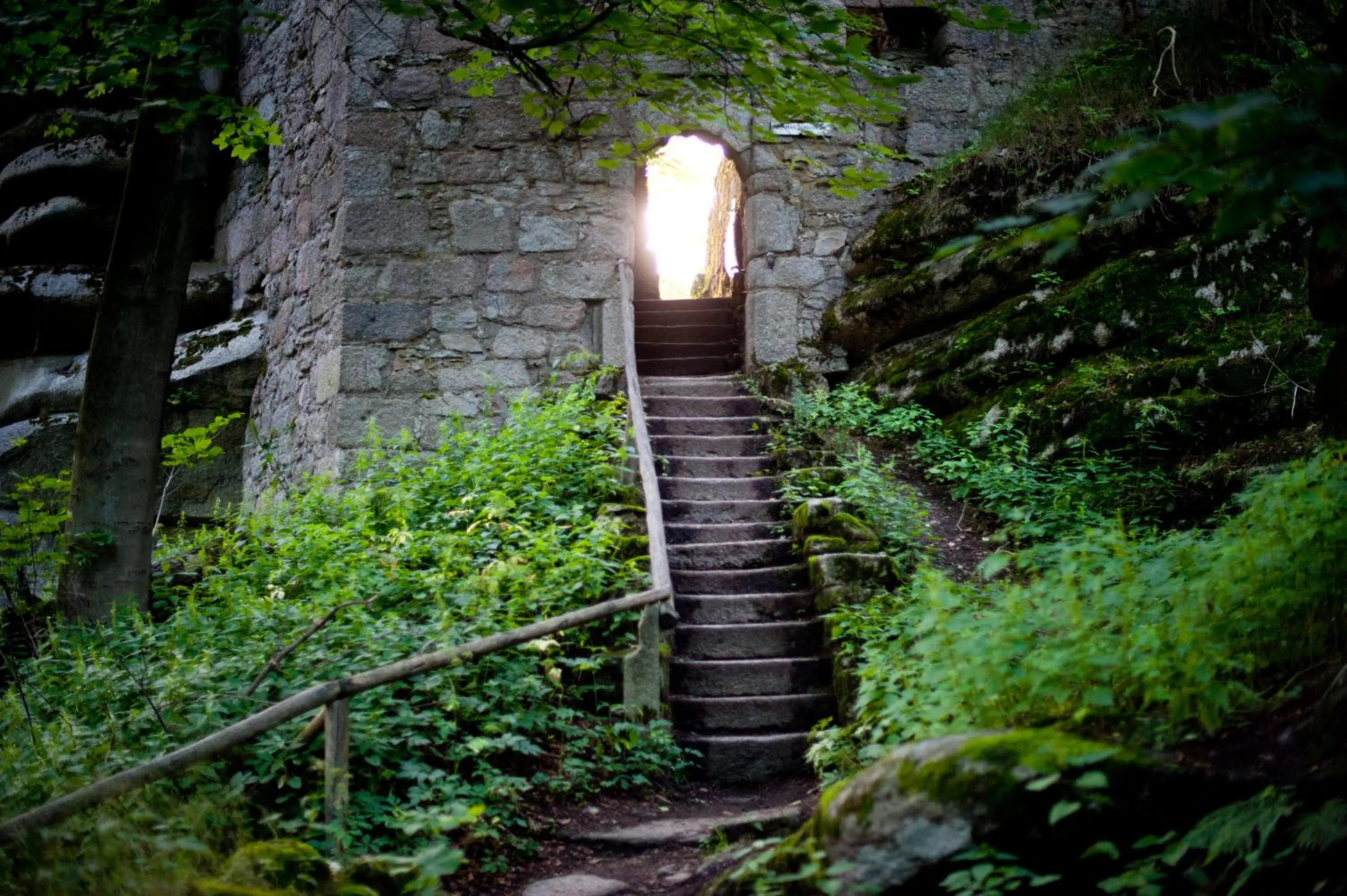 Hiking in Hotel Alexandersbad