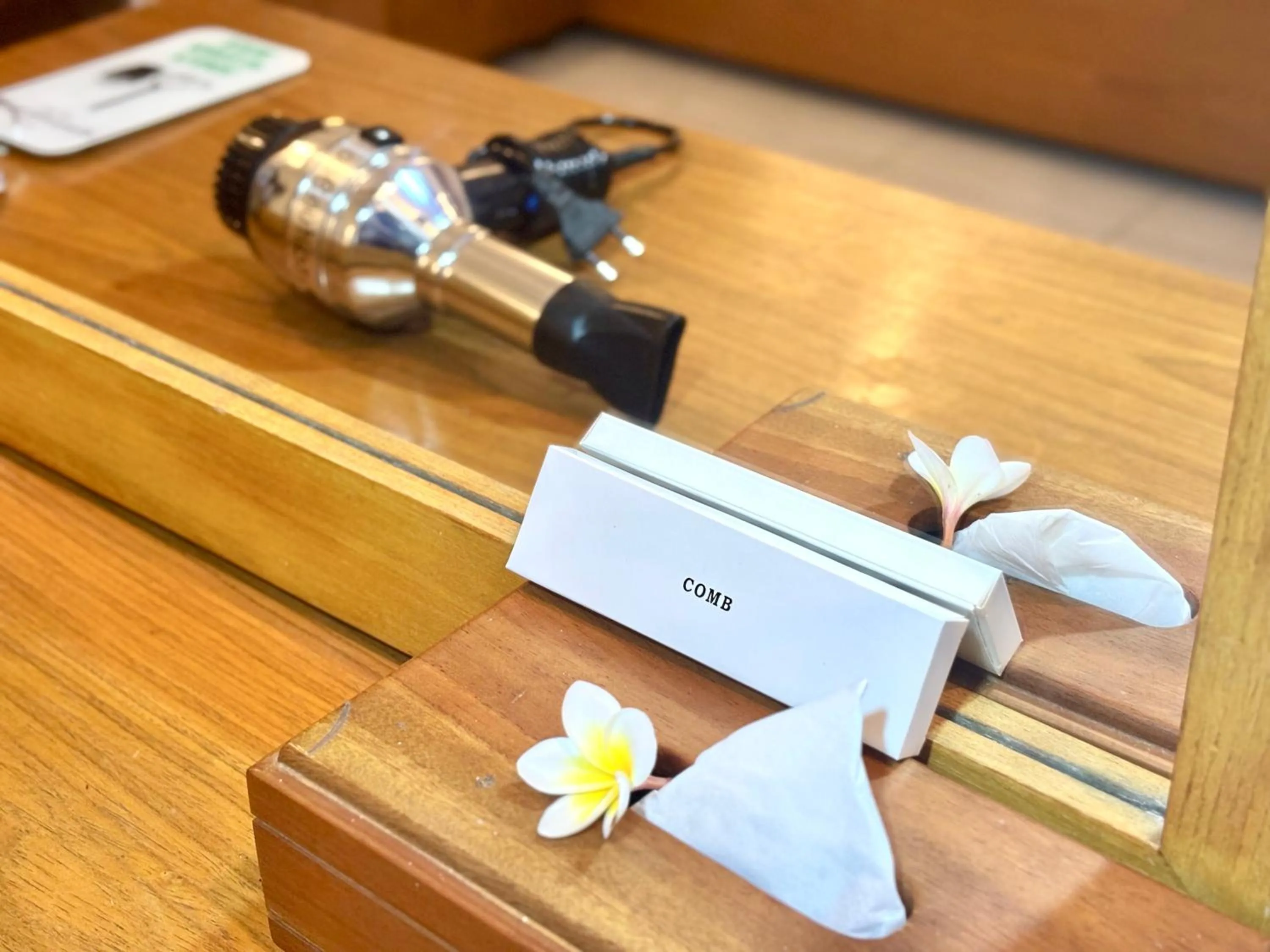 hair dryier in Puri Anyar Ubud