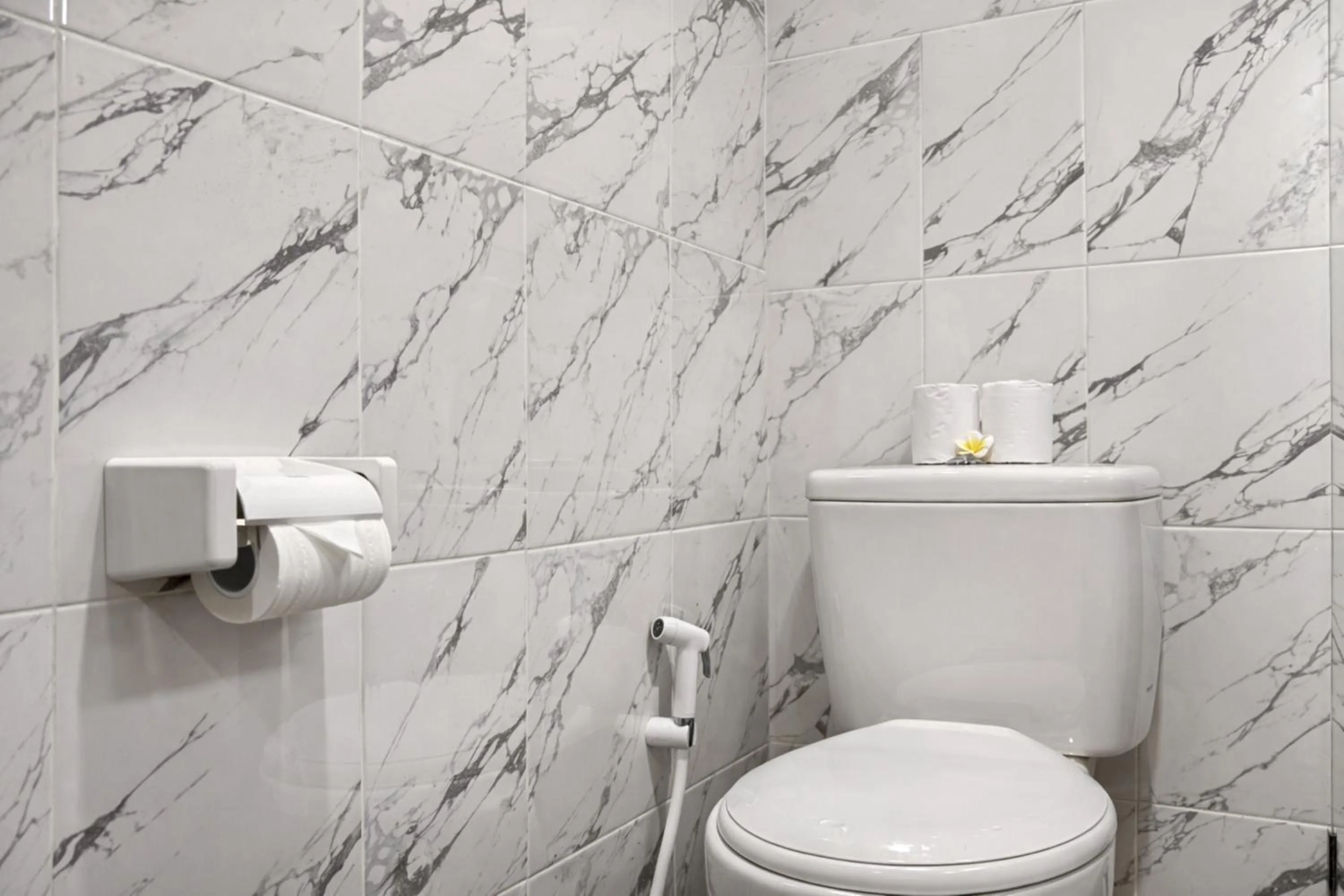 Toilet in Puri Anyar Ubud