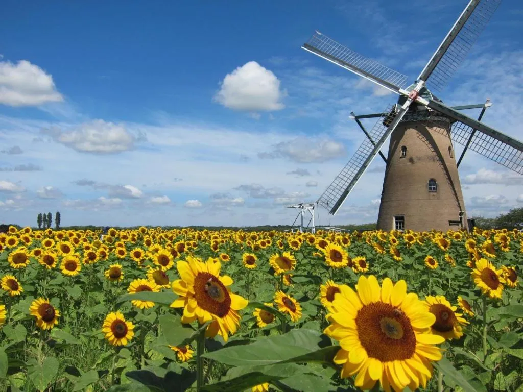 Nearby landmark in Wishton Hotel Yukari