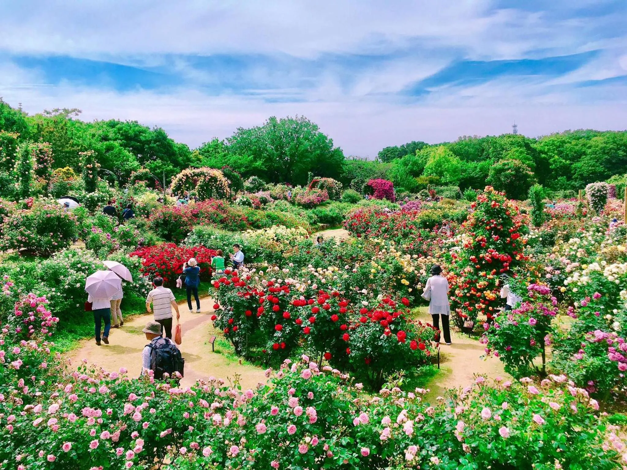 Nearby landmark in Wishton Hotel Yukari