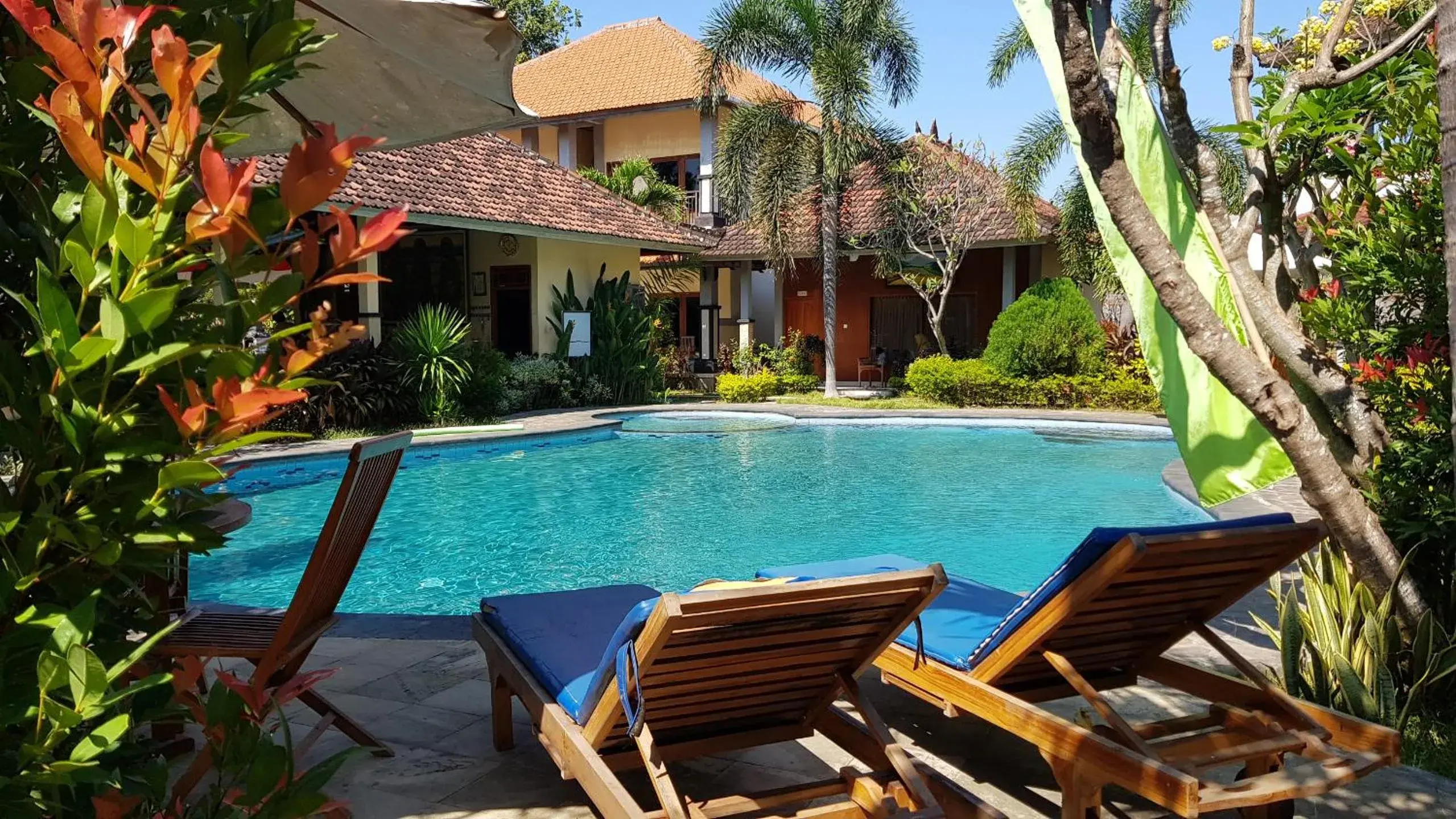 Swimming pool in Hotel My Lovina Swimming pool in Hotel My Lovina