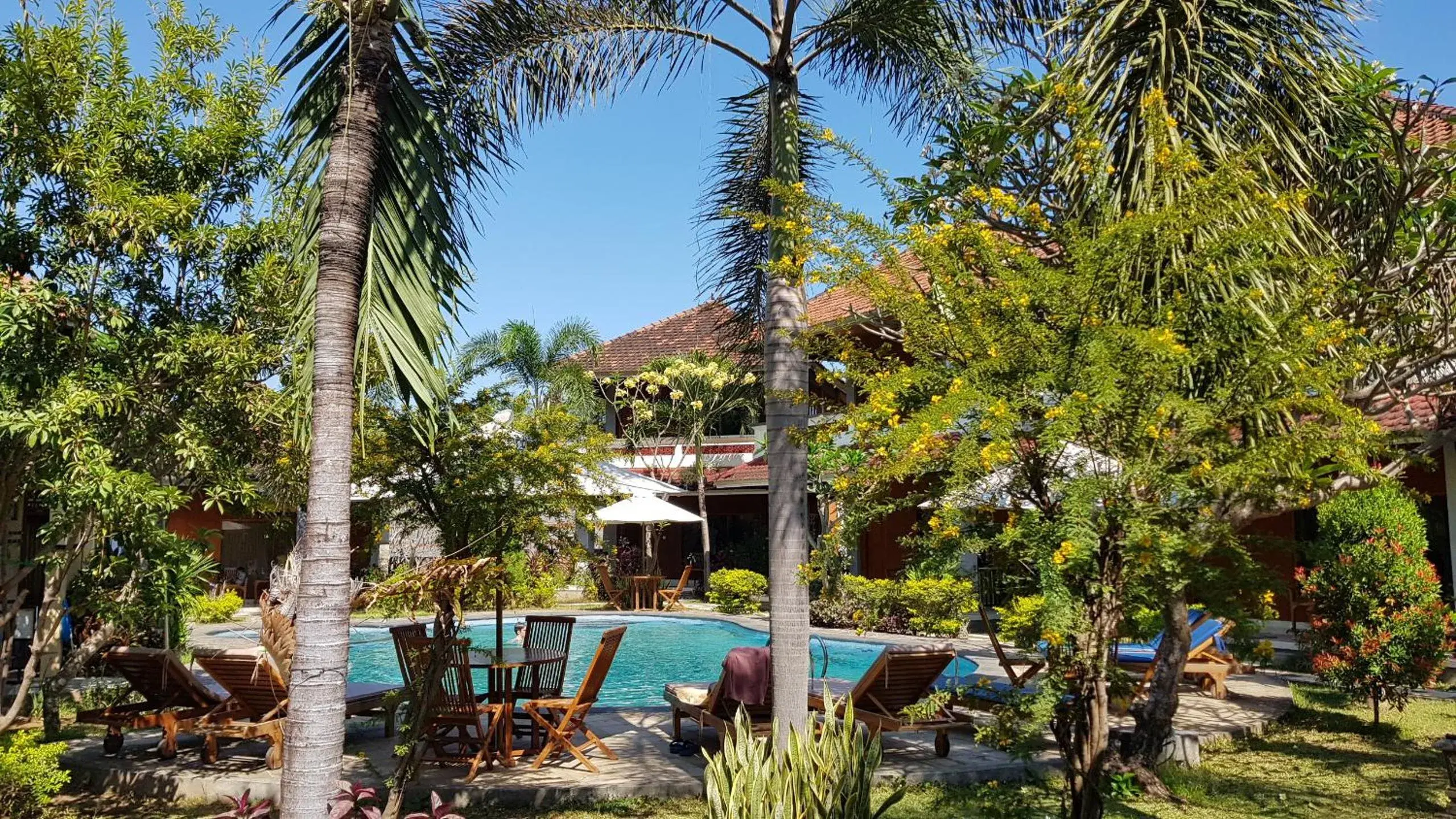 Swimming pool in Hotel My Lovina Swimming pool in Hotel My Lovina