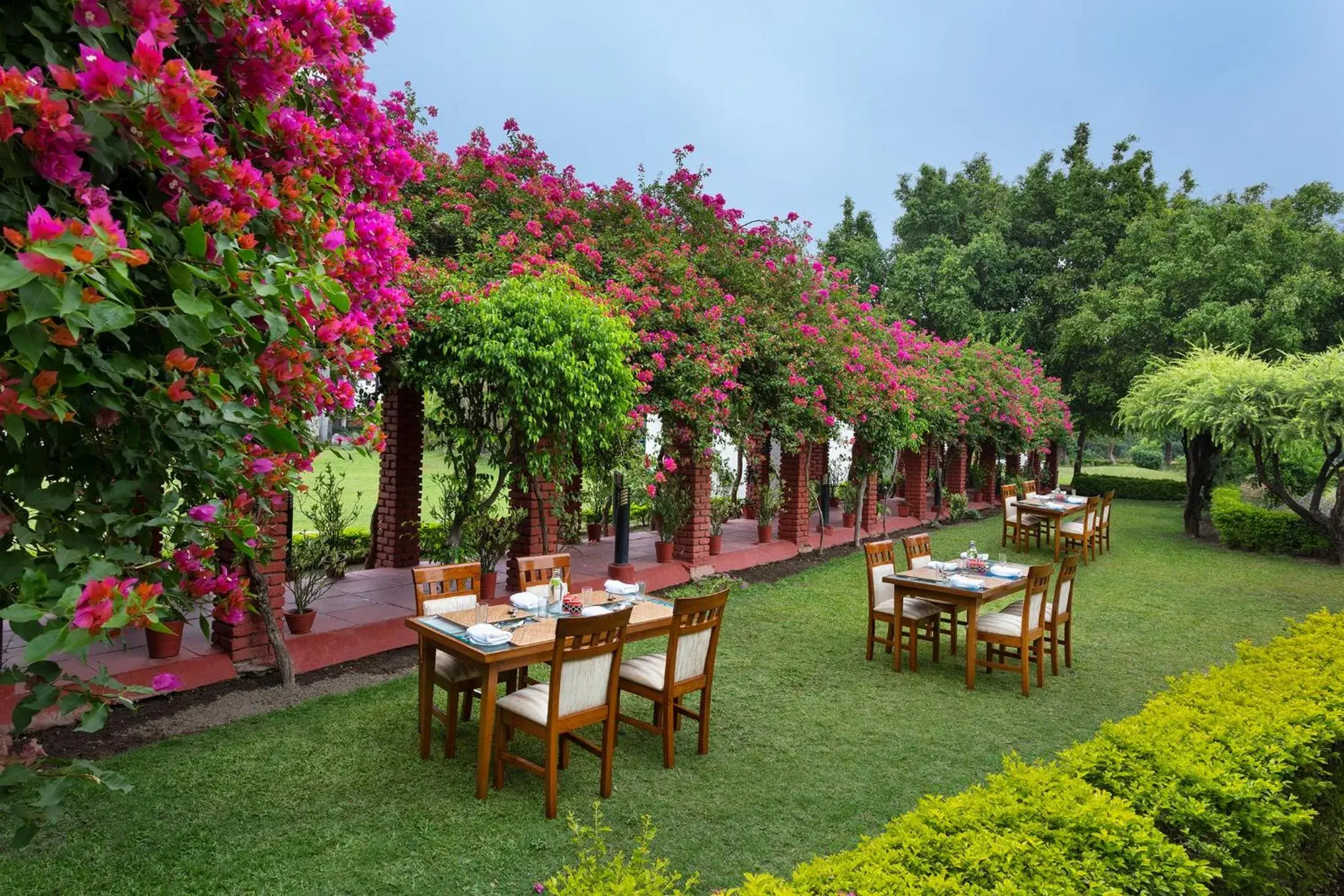 Breakfast in Naturoville Wellness Resort Rishikesh - Surrounded by Nature, Rooted in Wellness Breakfast in Naturoville Wellness Resort Rishikesh - Surrounded by Nature, Rooted in Wellness