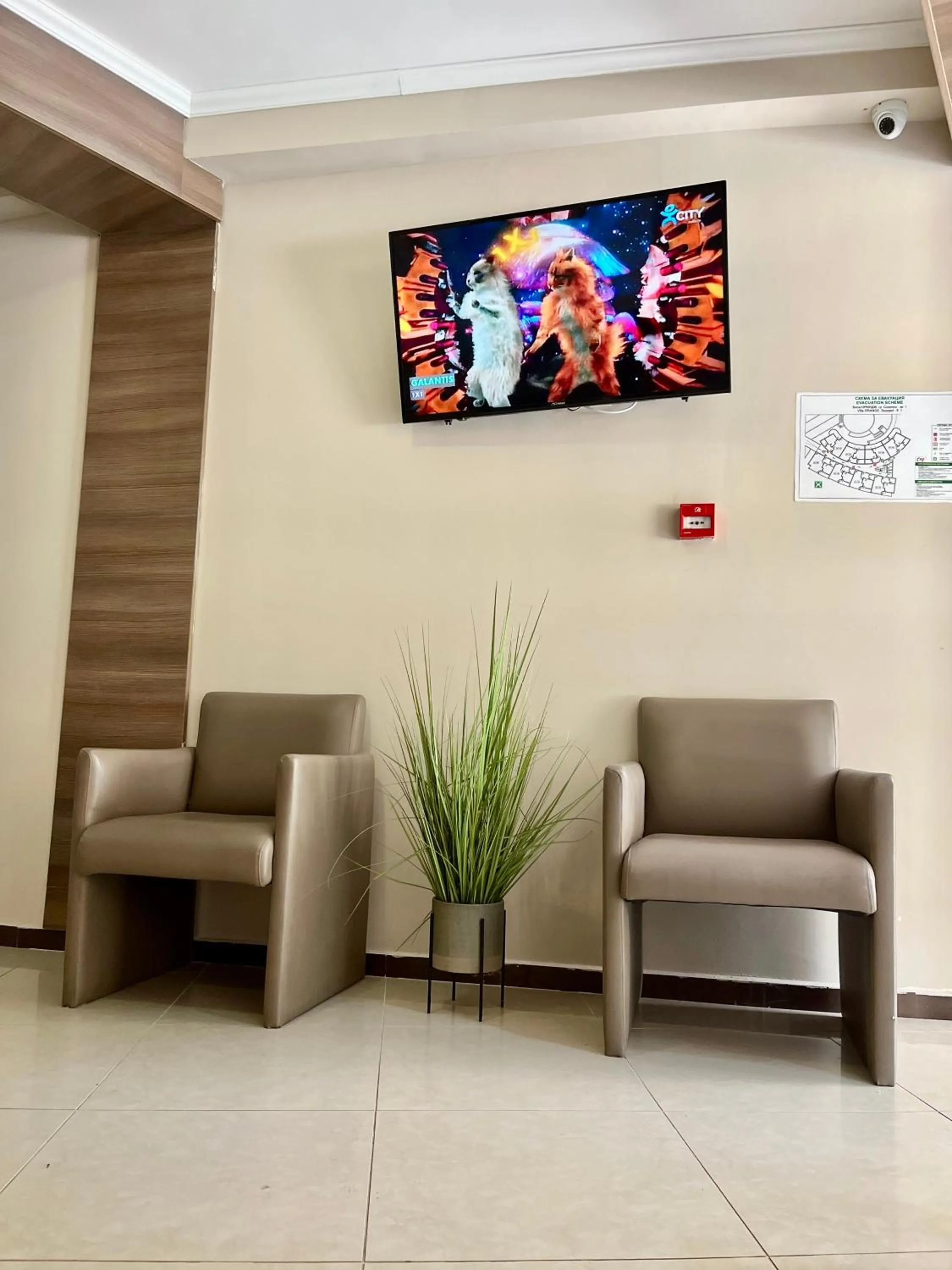 Lobby or reception in Villa Orange