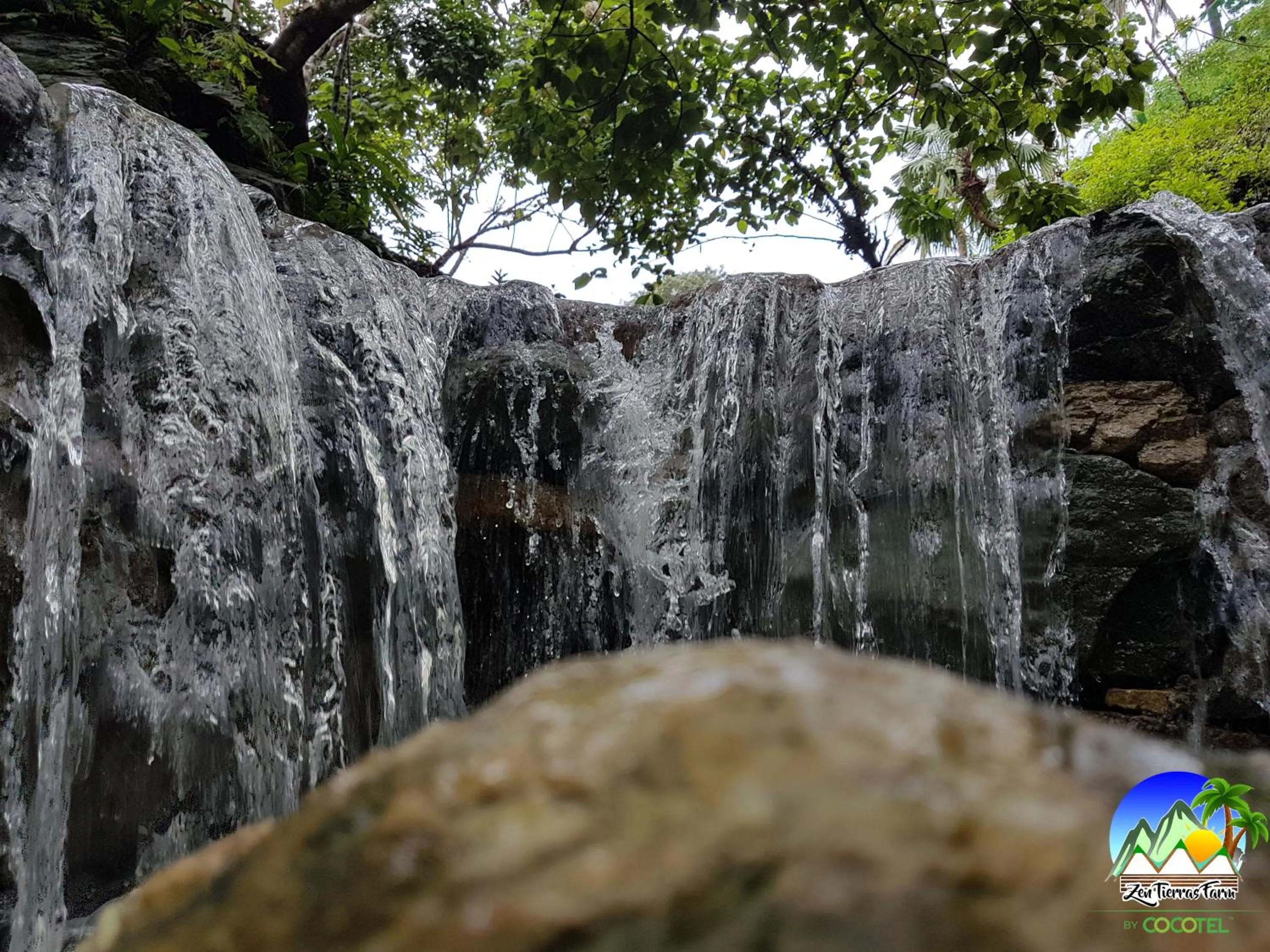 Natural landscape in Zen Tierras Farm by Cocotel