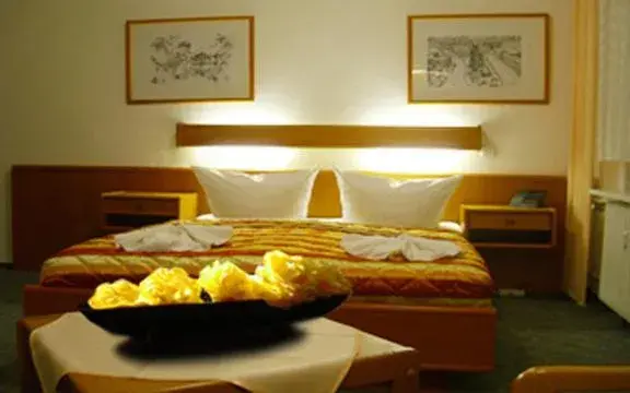 Double Room in Hotel Kallmeyer Double Room in Hotel Kallmeyer