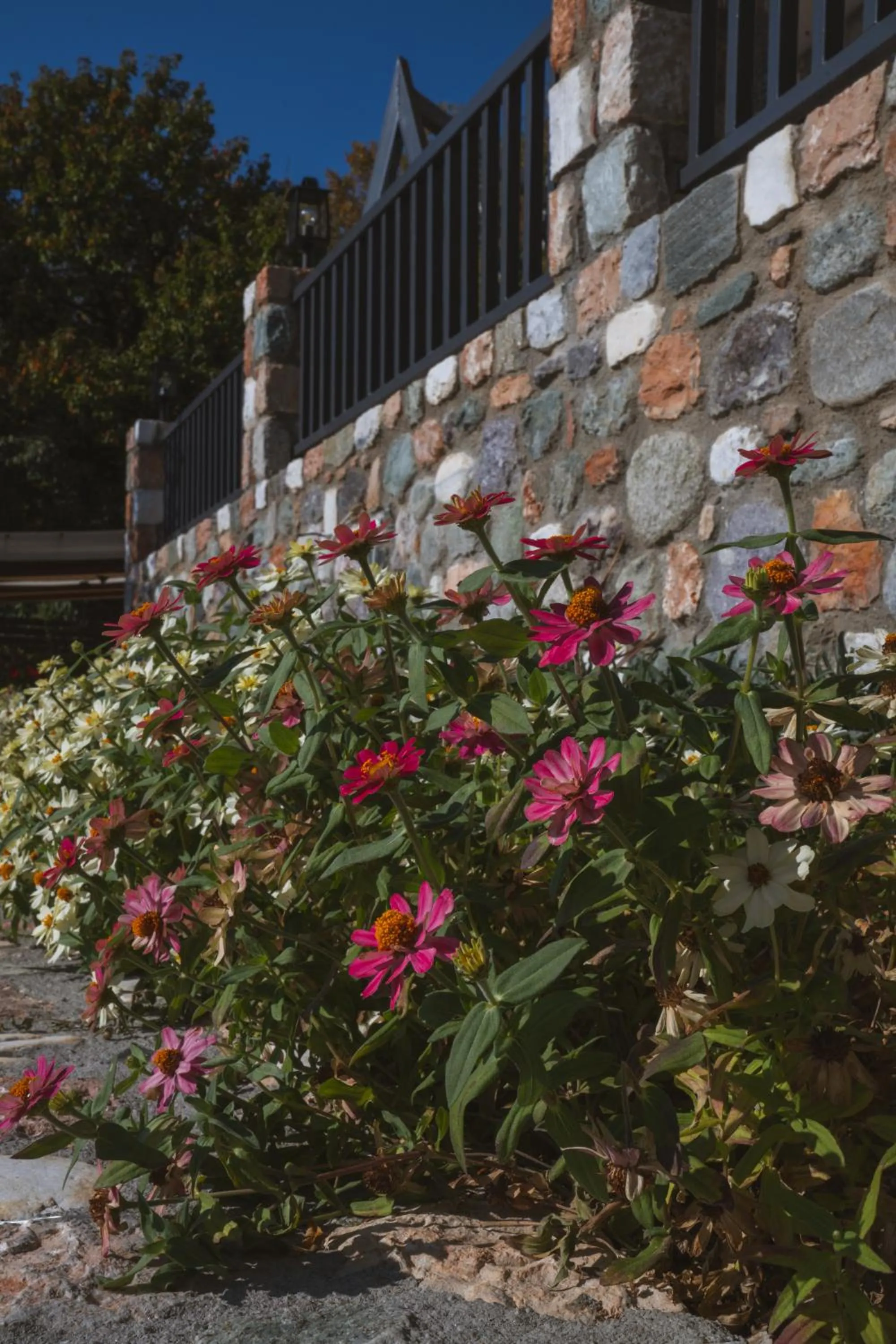 Alkyonis Hotel & Spa