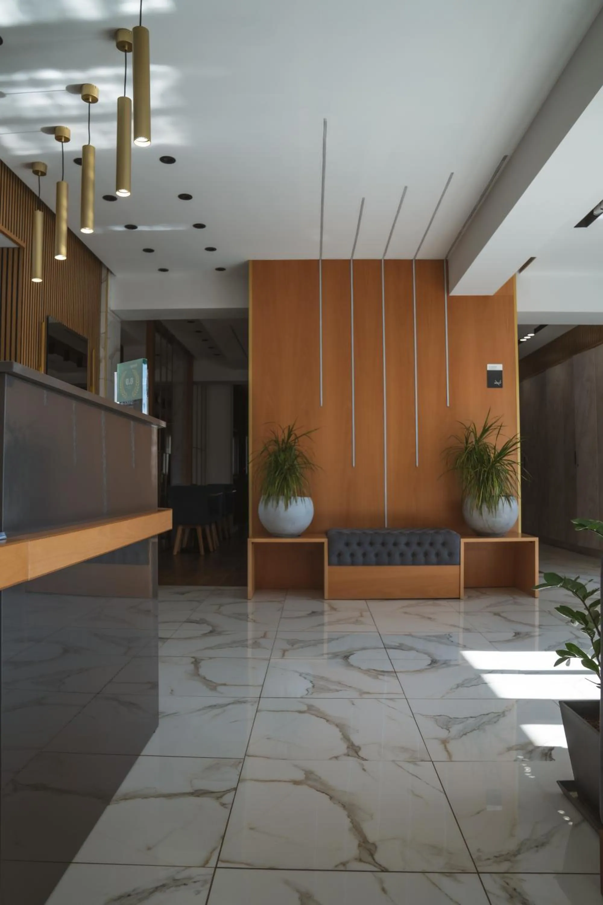 Lobby or reception in Alkyonis Hotel & Spa