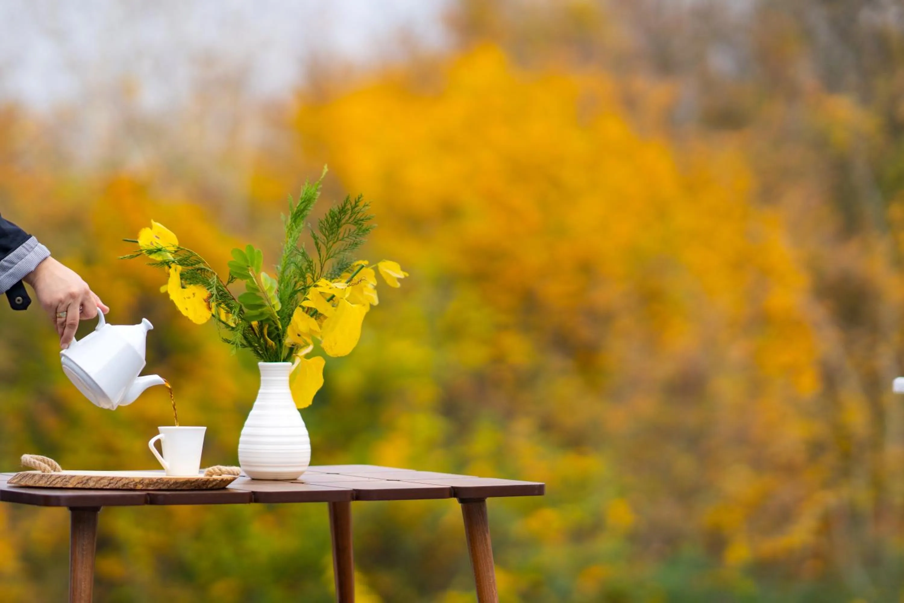 Drinks in Sapanca View Hotel