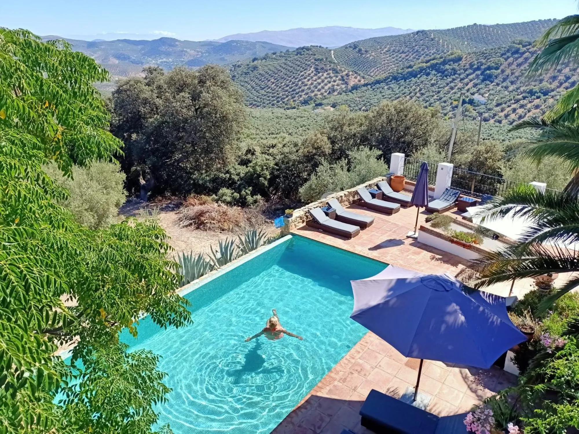 Pool view in Cortijo La Haza