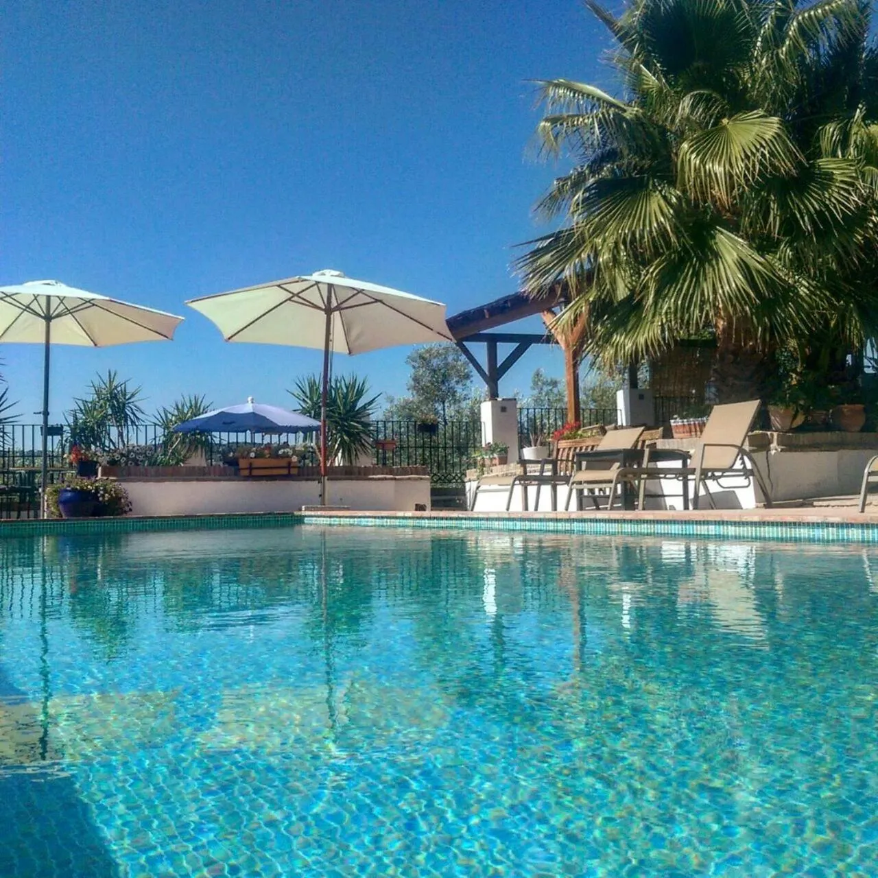 Swimming pool in Cortijo La Haza