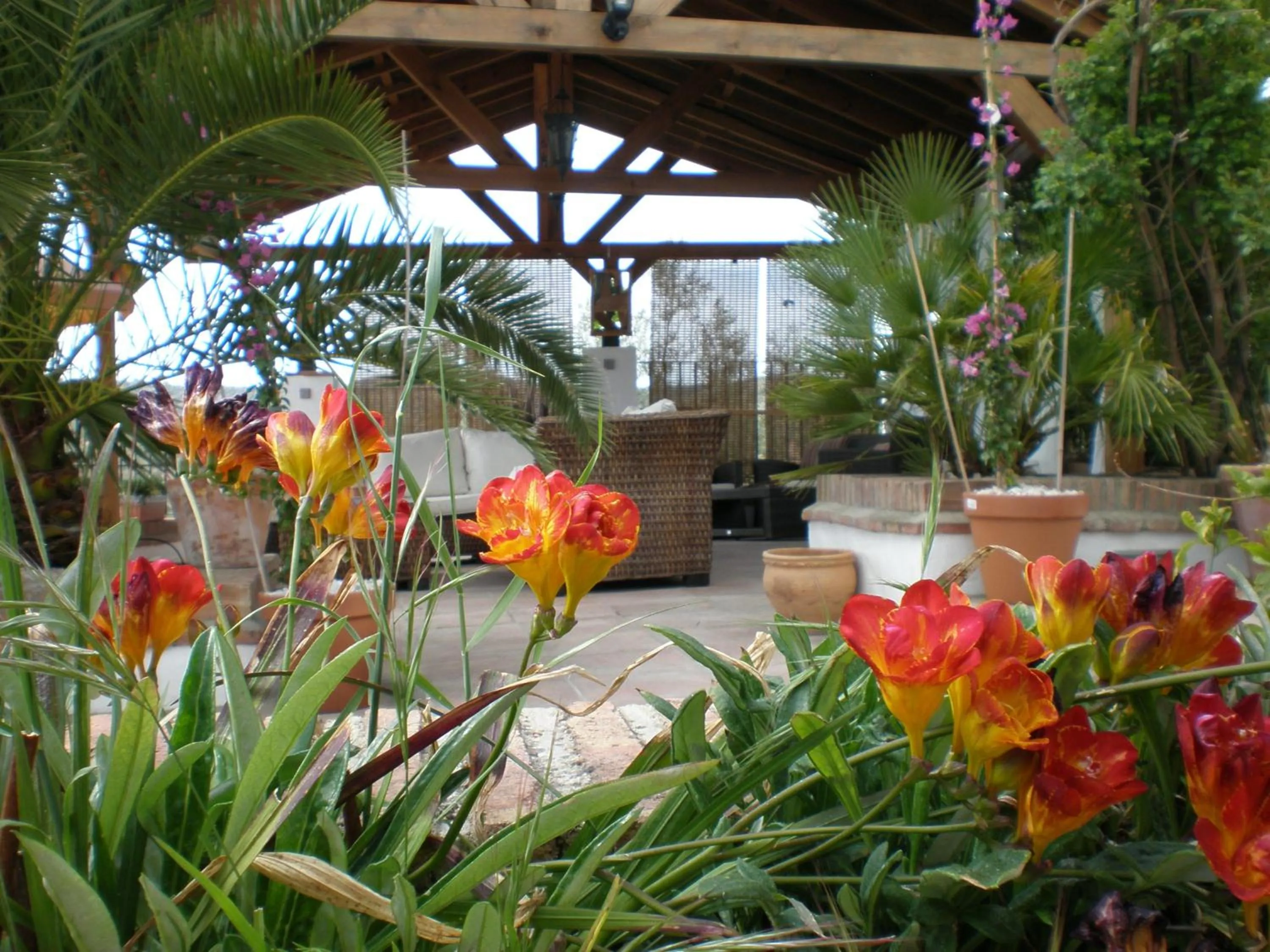Decorative detail in Cortijo La Haza